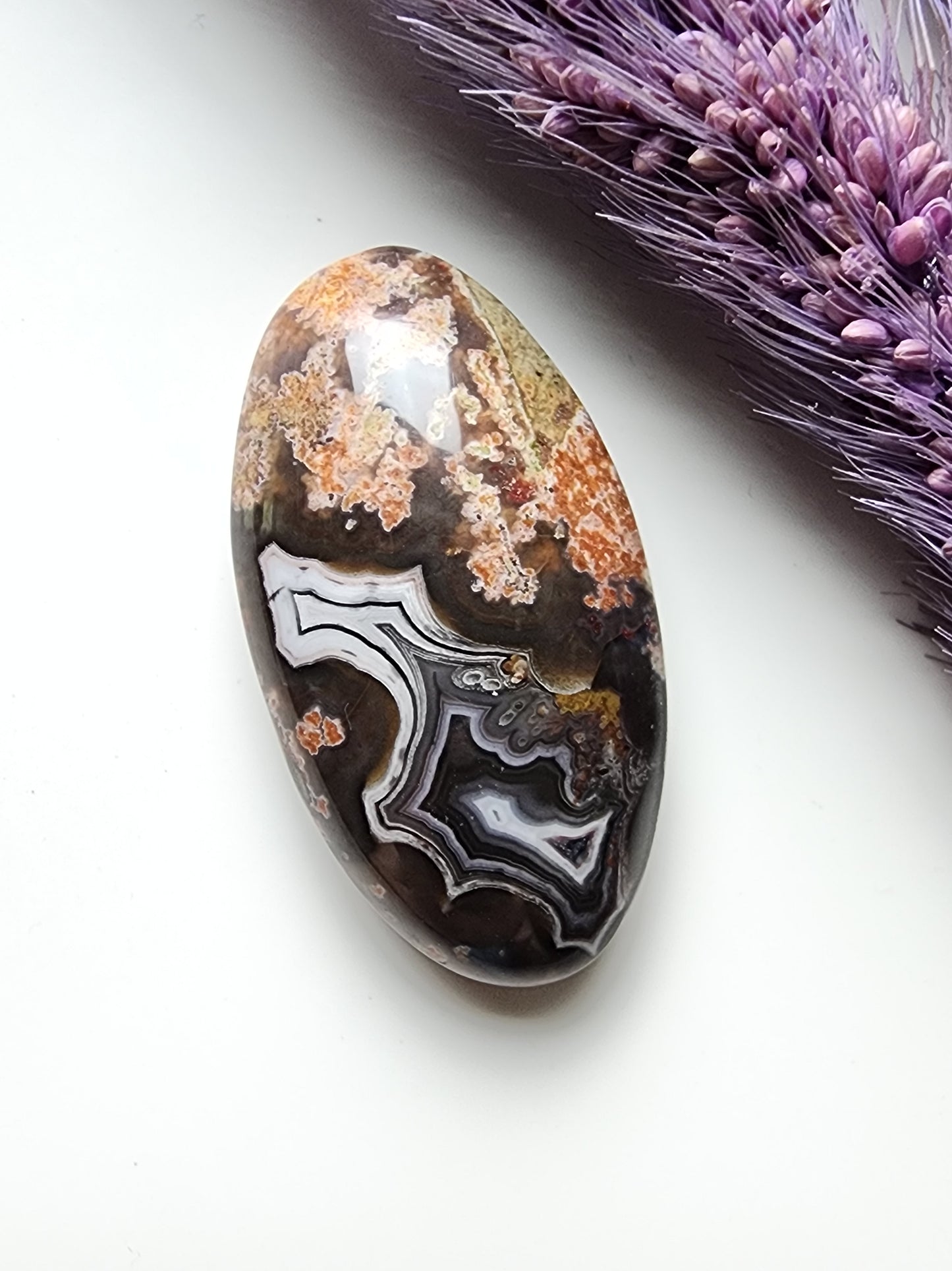 Parcelas agate