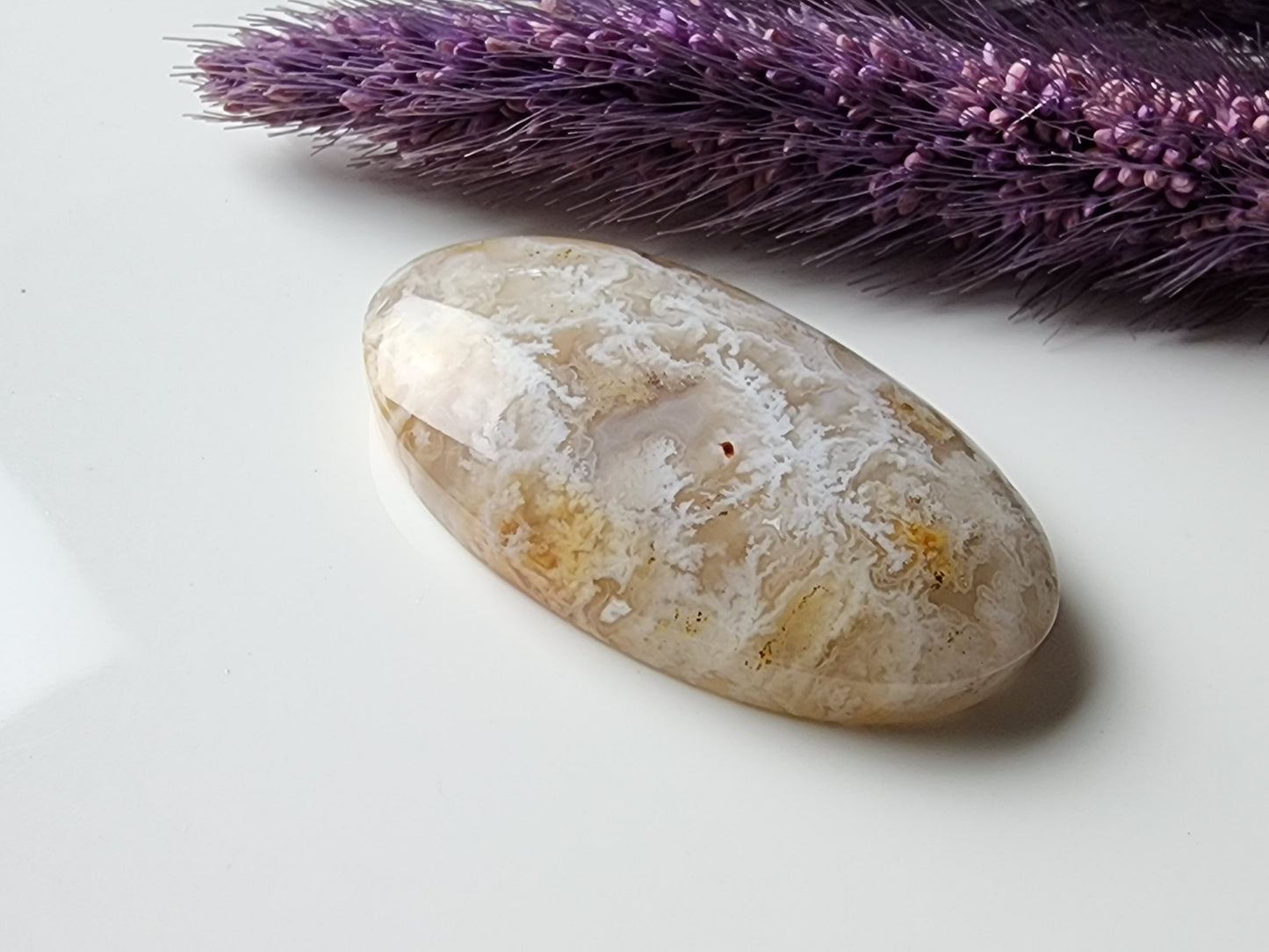 Bella Vista plume agate
