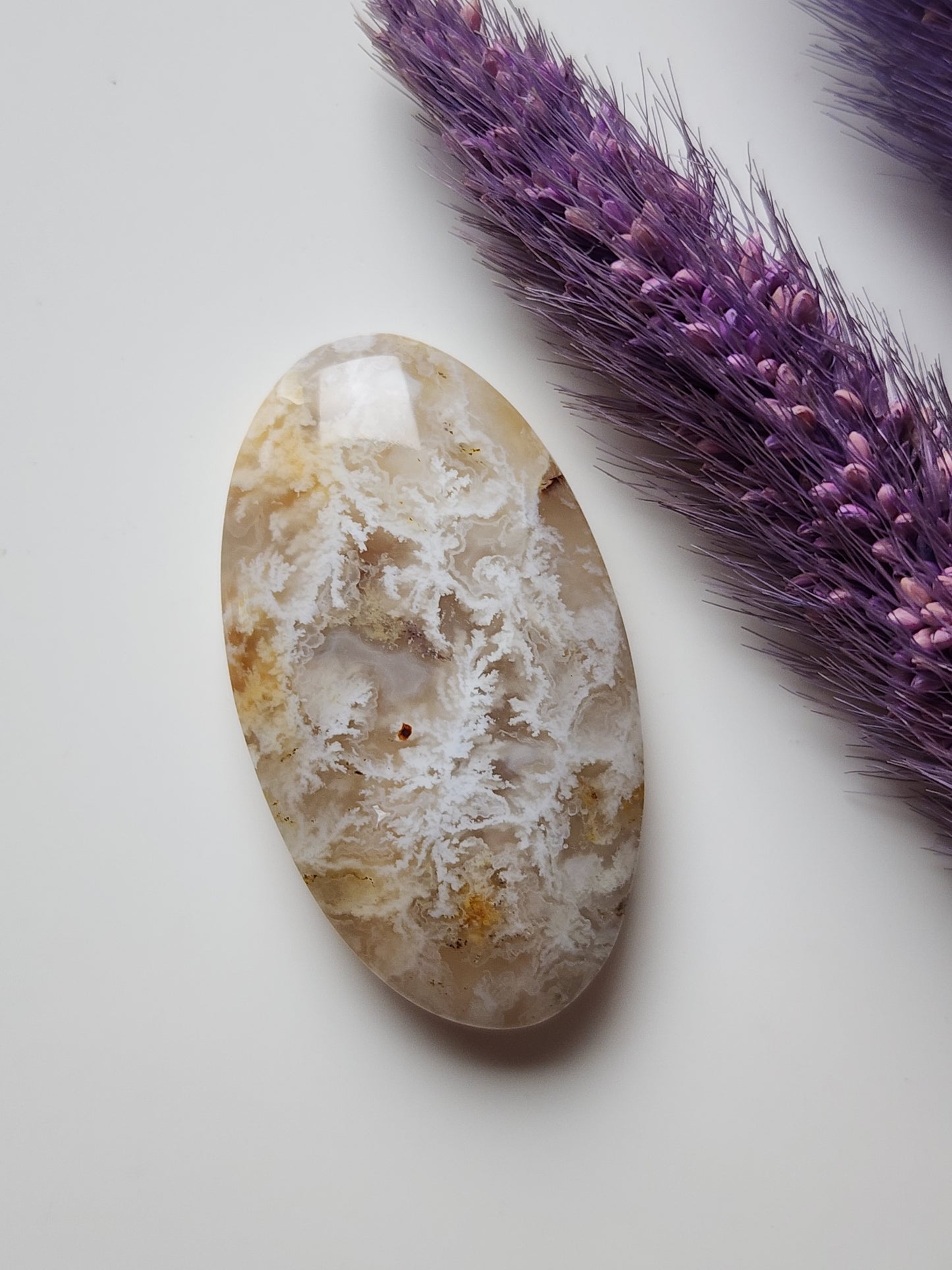 Bella Vista plume agate