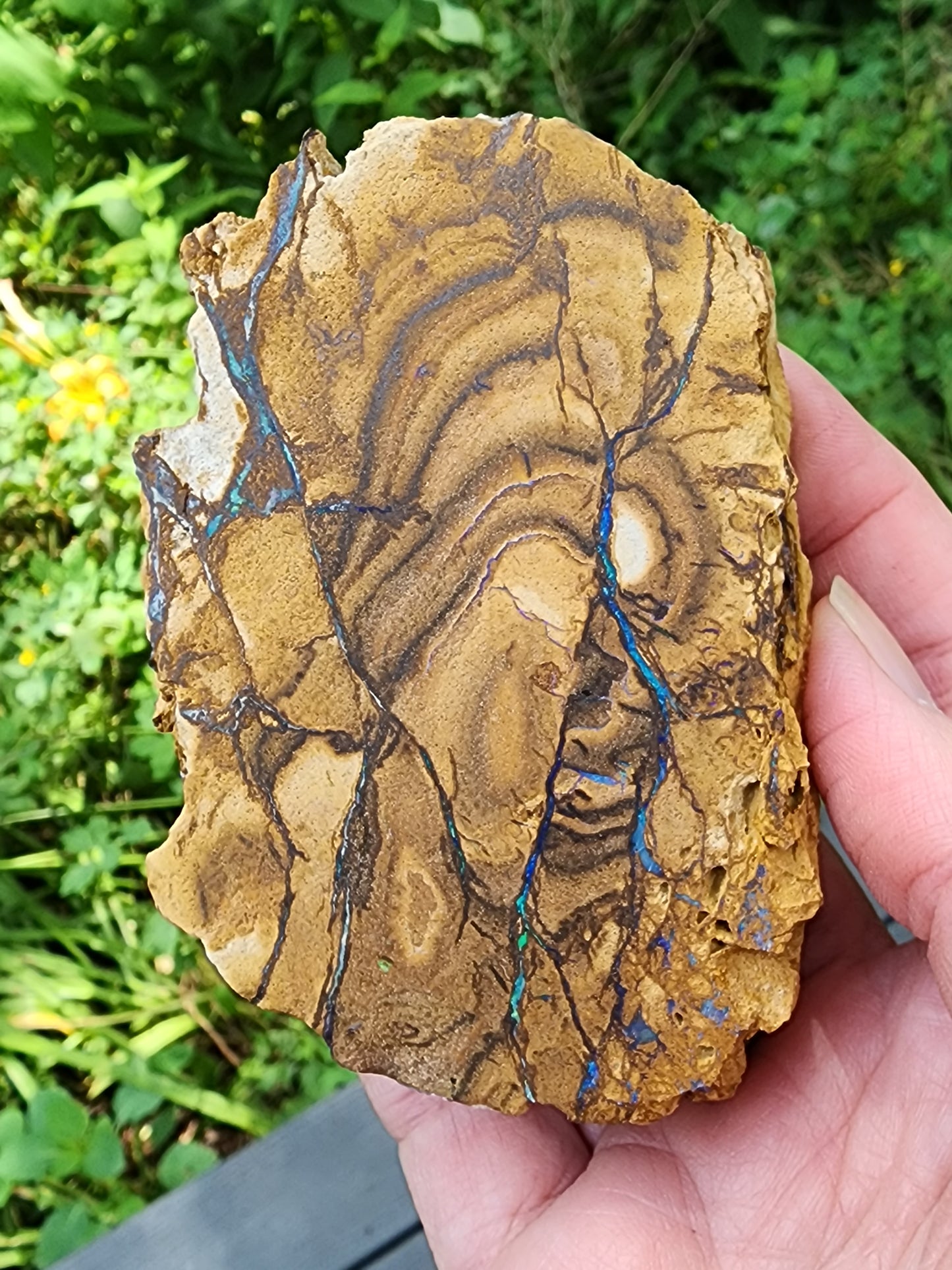Koroit opal rough