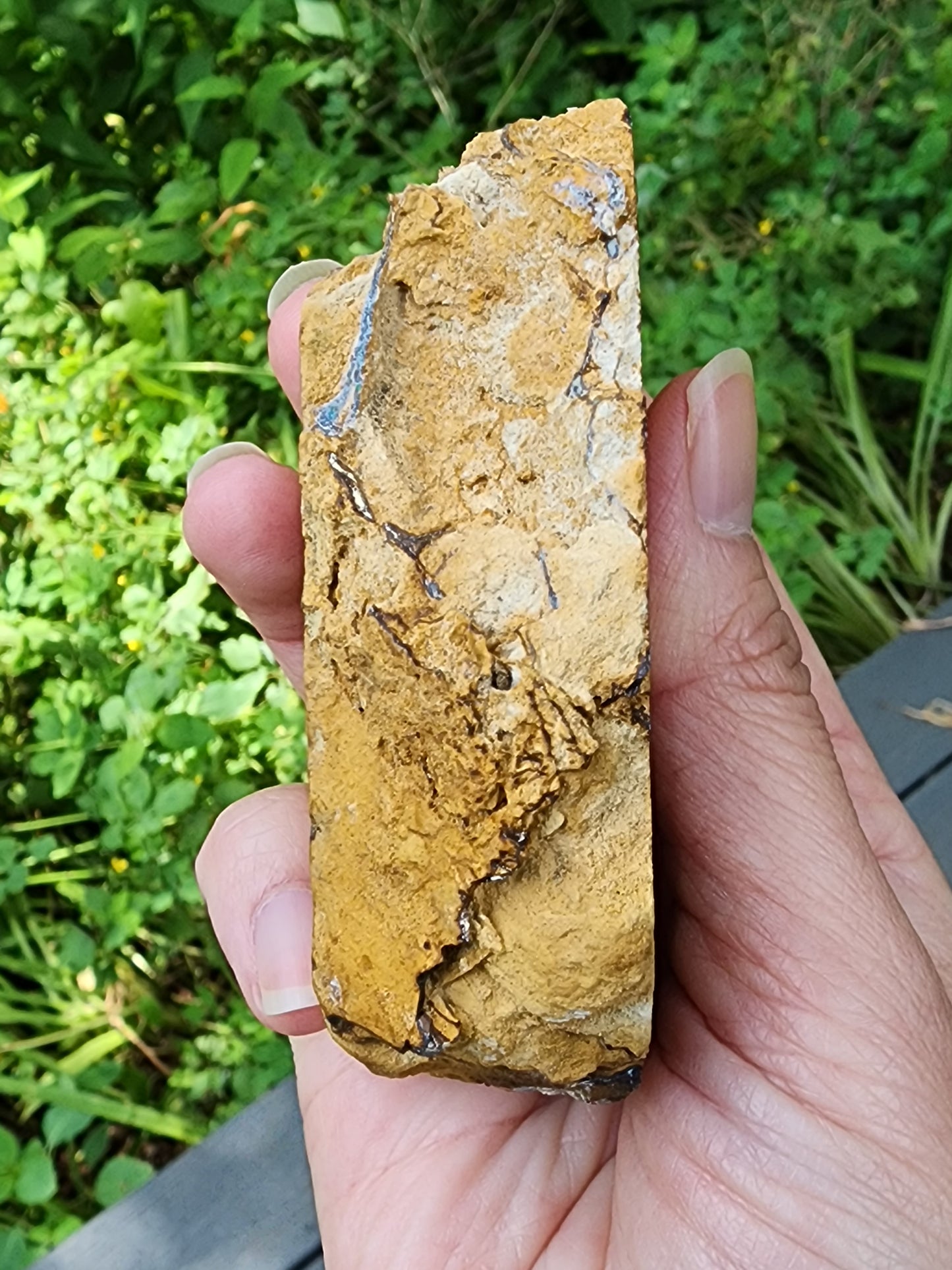 Koroit opal rough