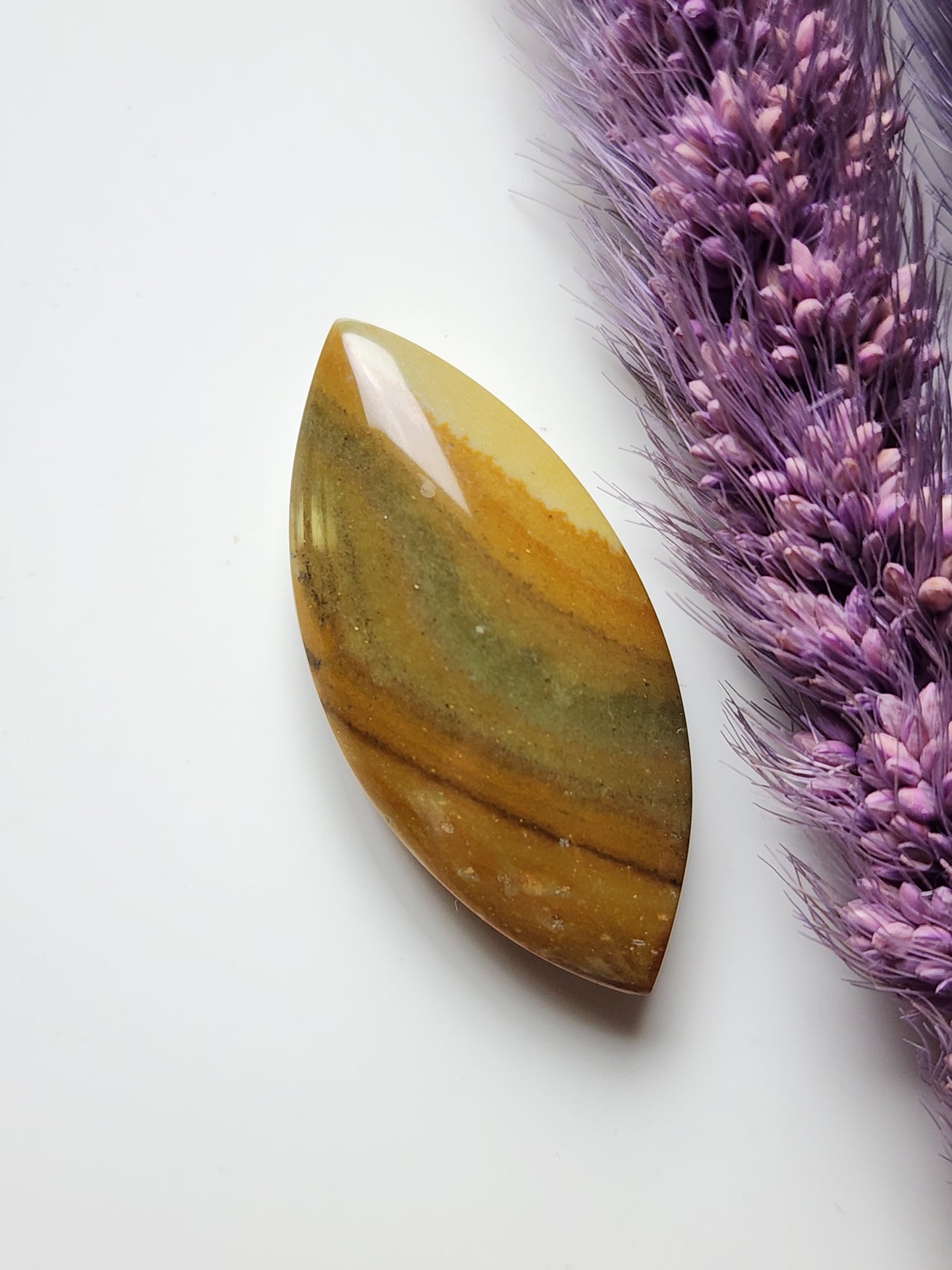 Owyhee jasper
