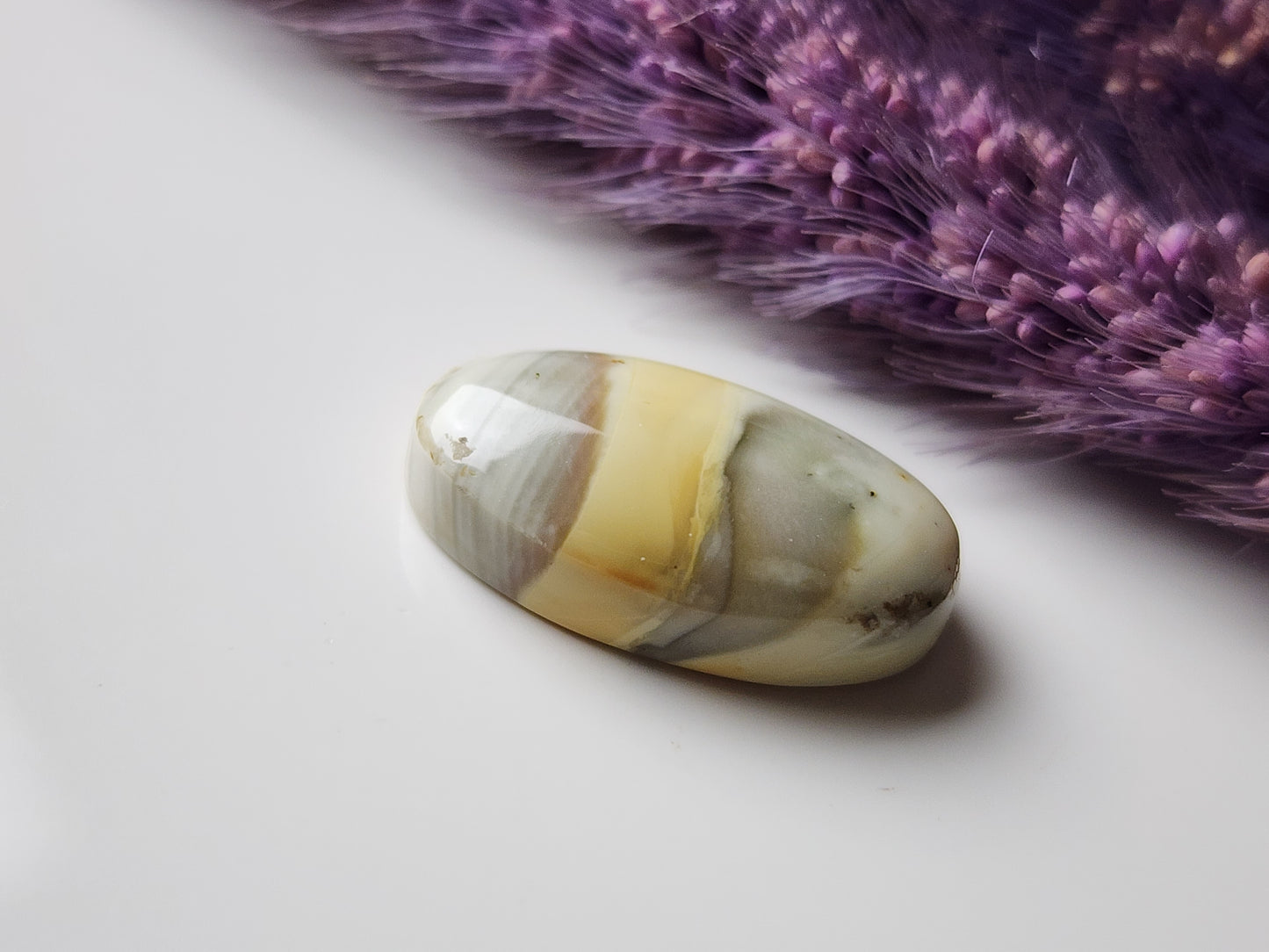Willow Creek jasper