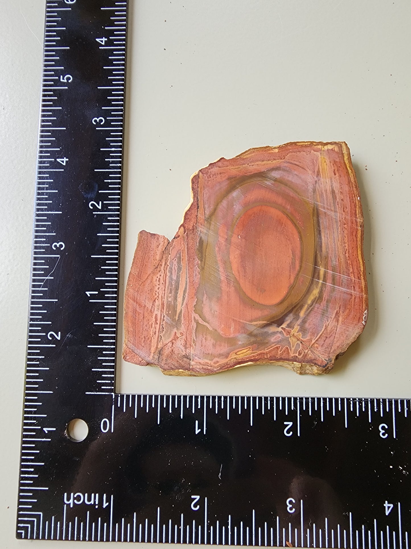 Polychrome jasper slab