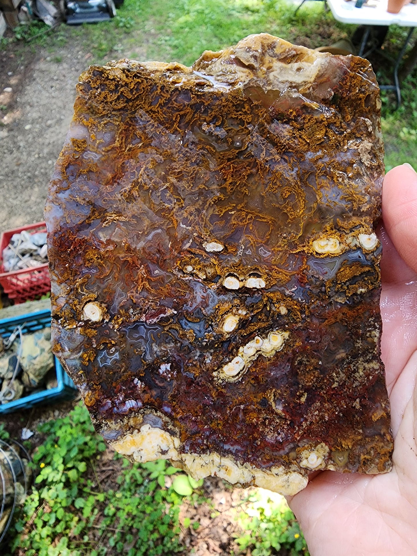 San Carlos moss agate slab