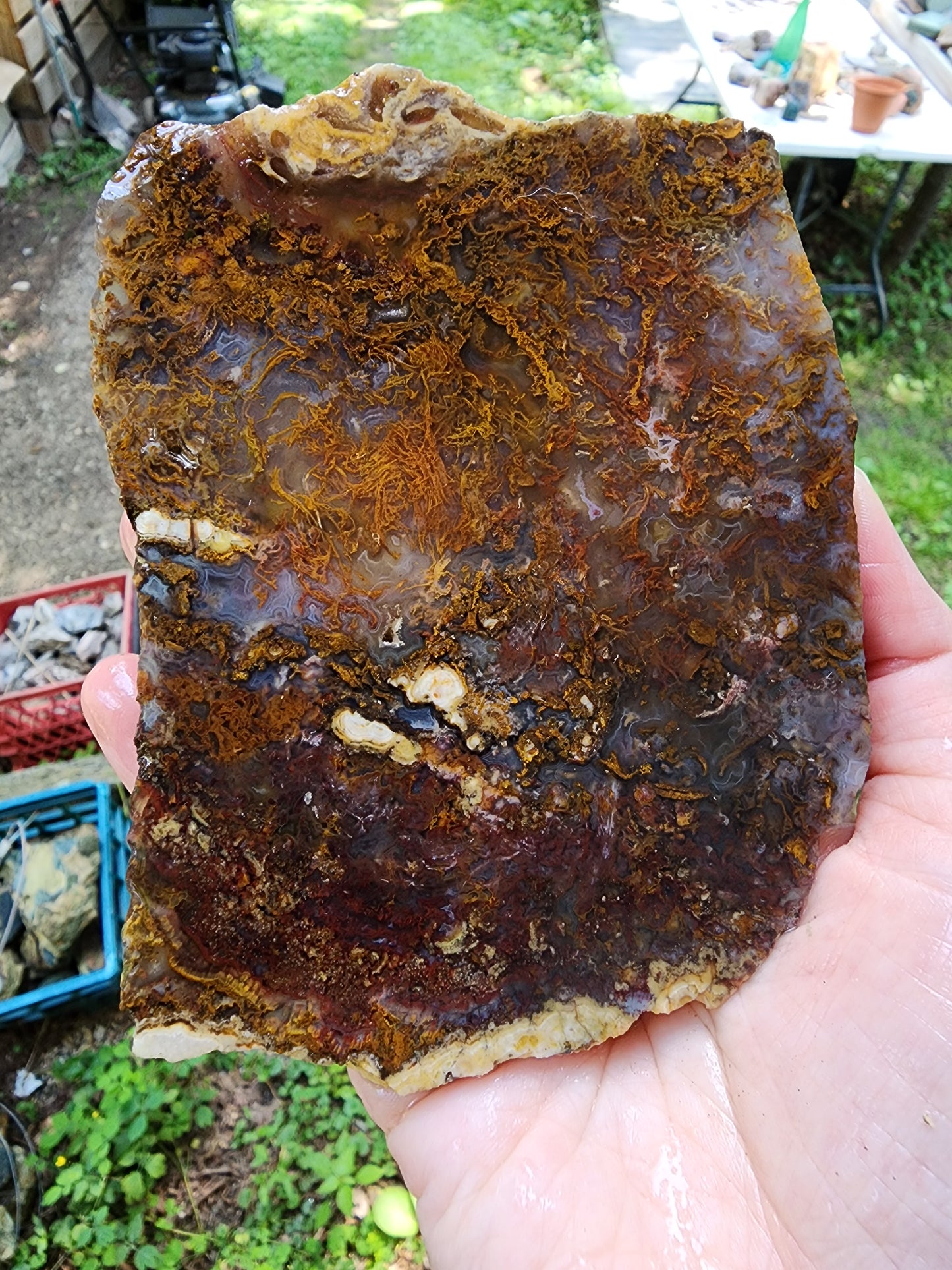 San Carlos moss agate slab