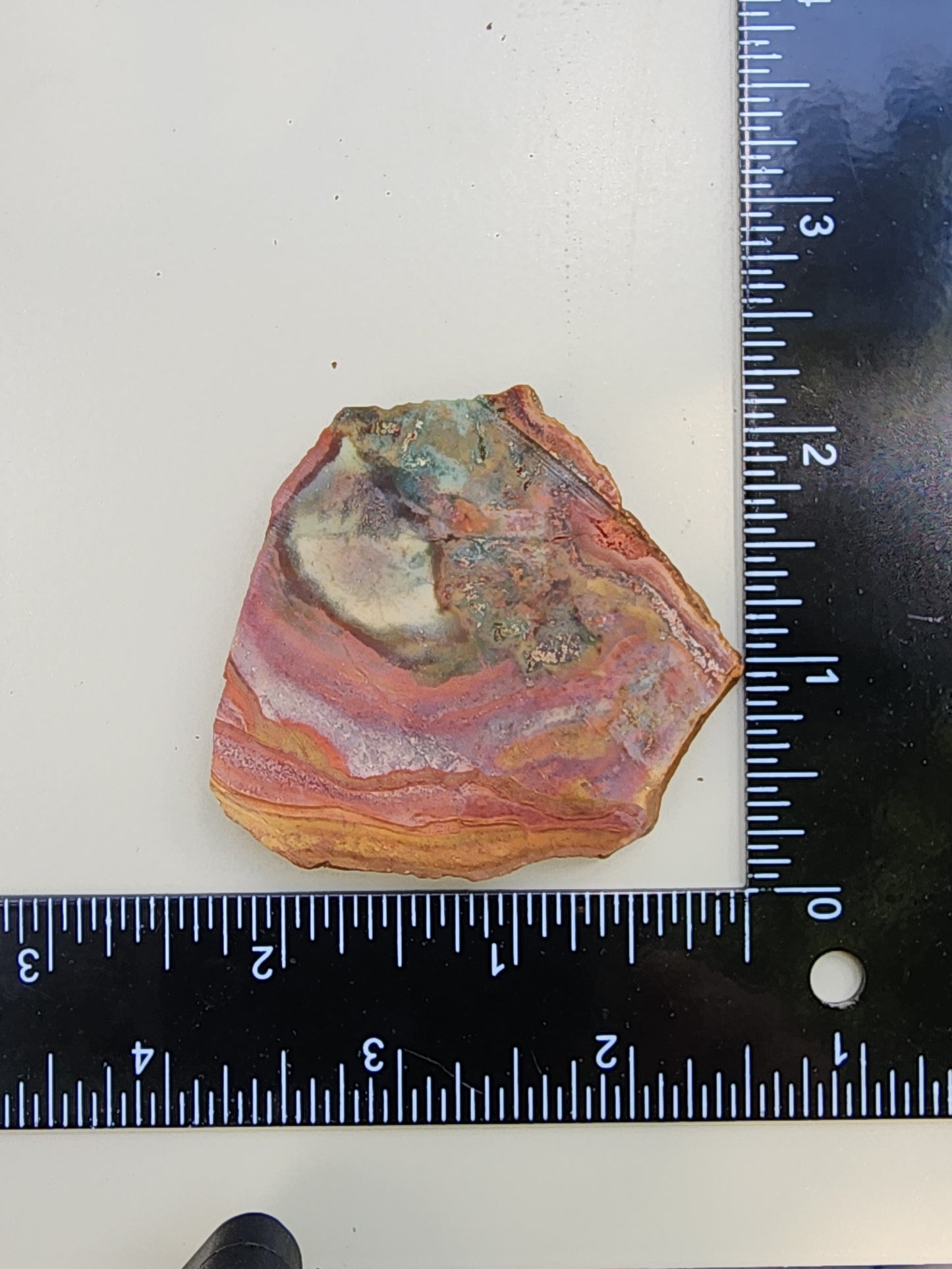 Polychrome jasper slab