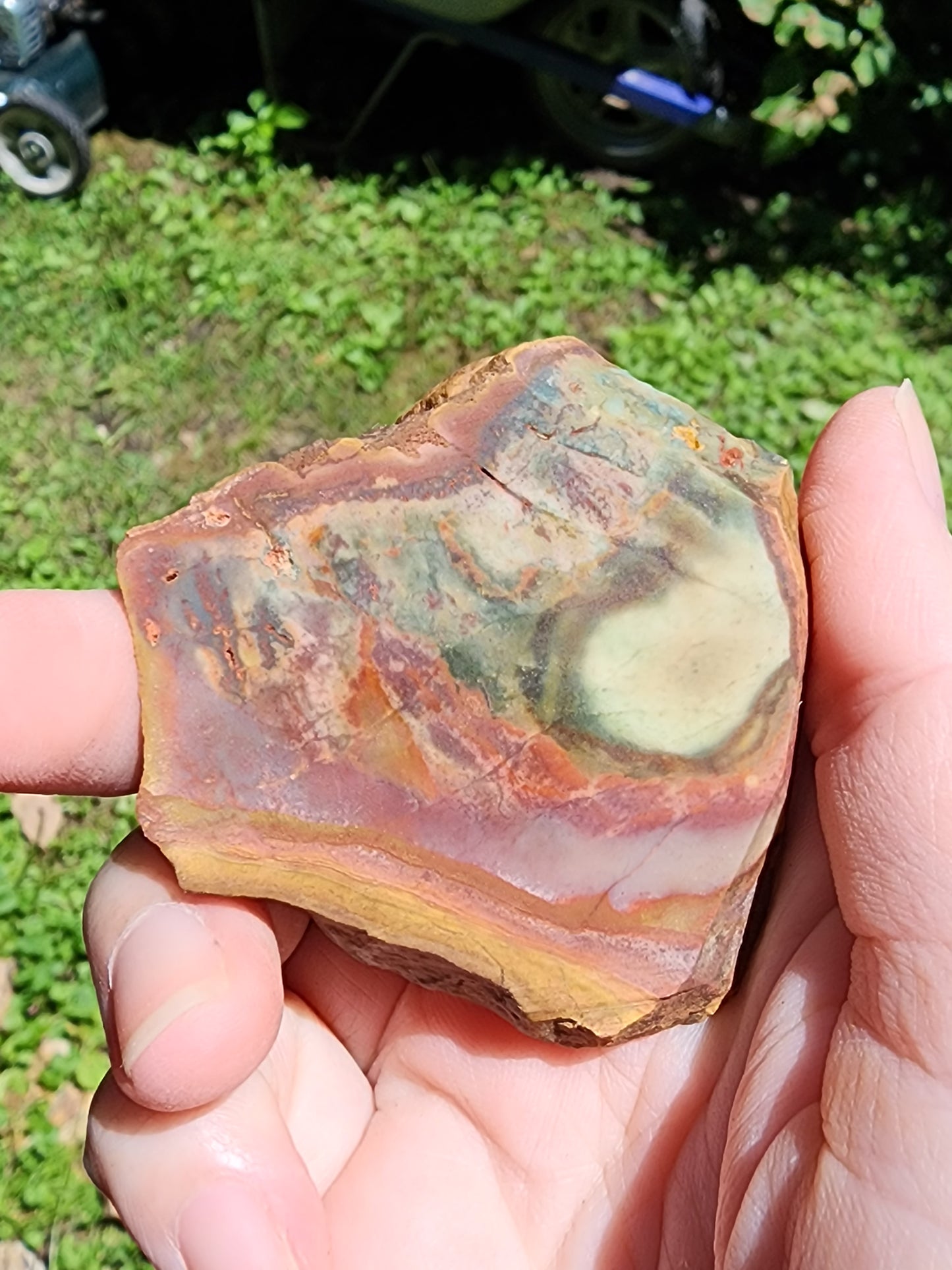 Polychrome jasper slab