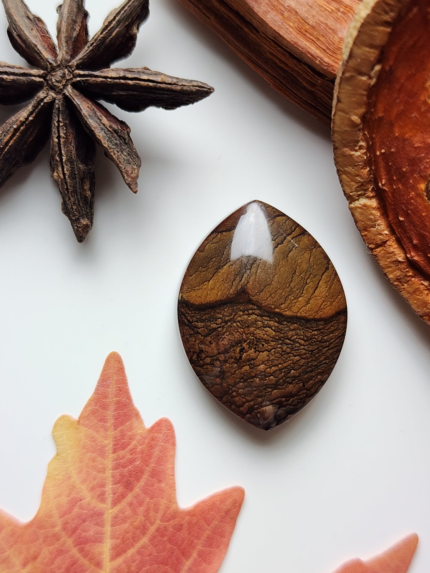 Biggs jasper