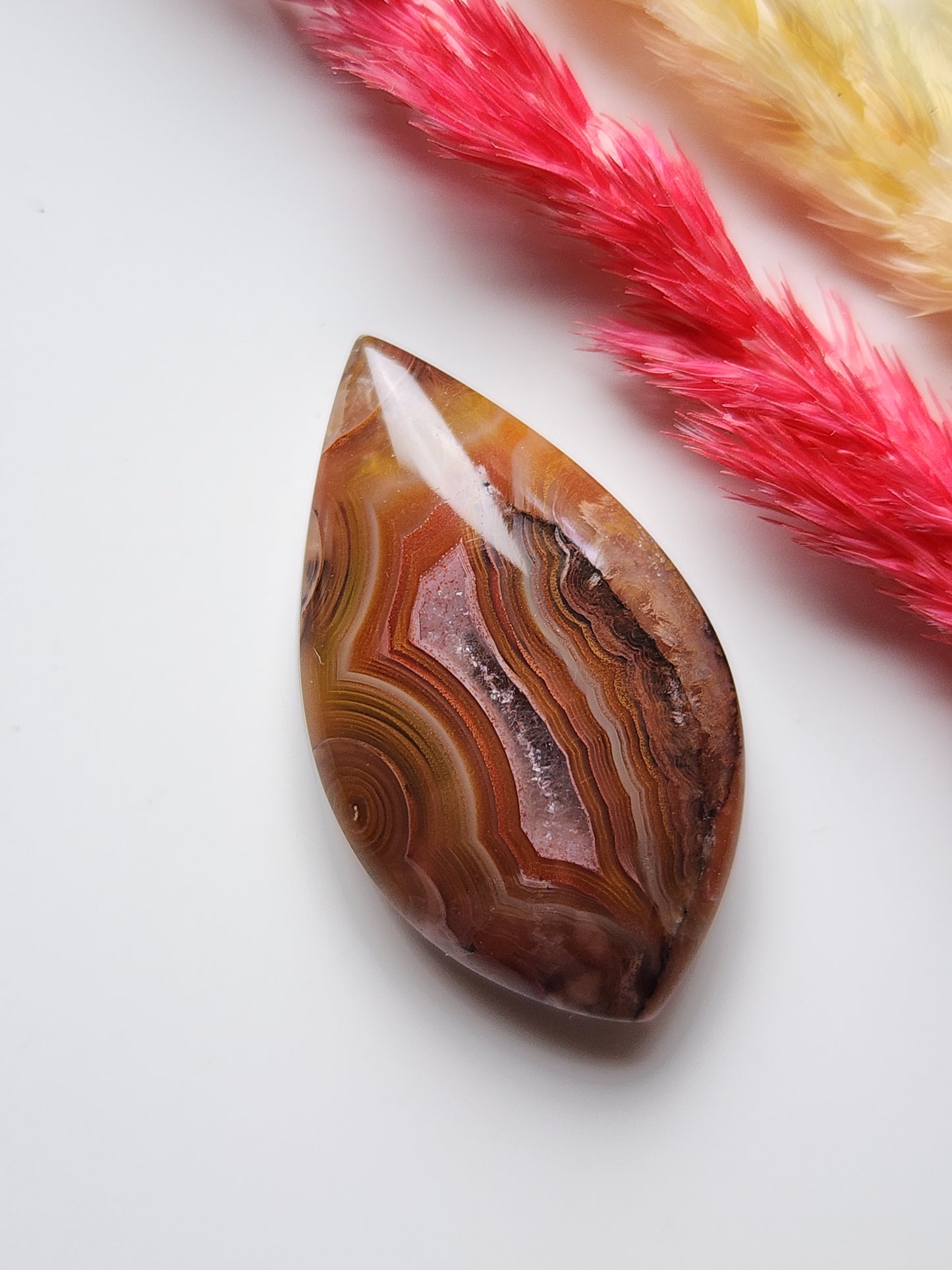Laguna agate