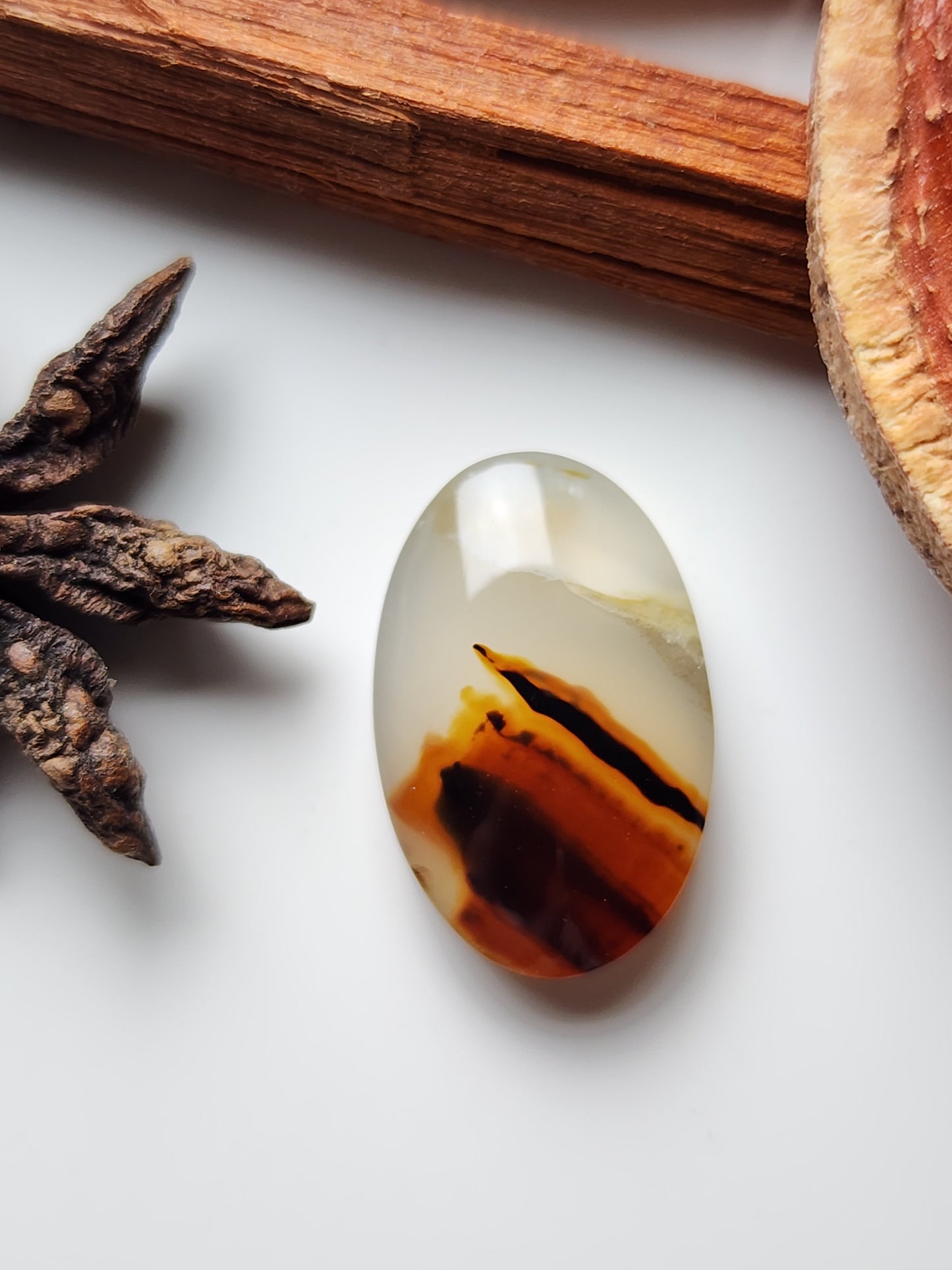 Montana agate