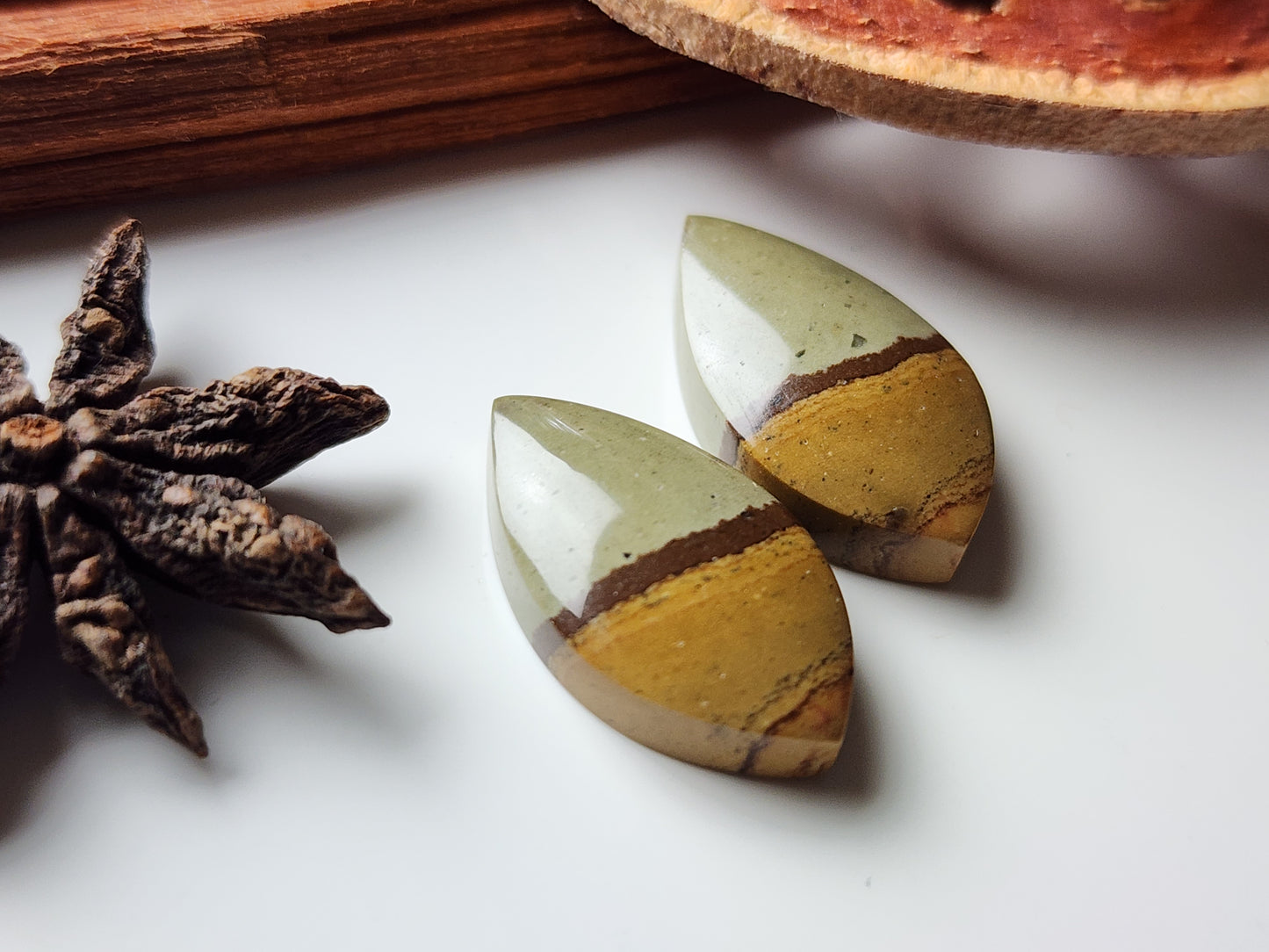 Owyhee jasper pair