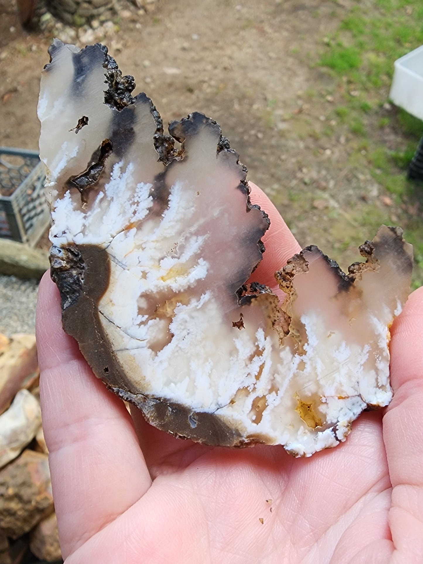 Stinking water plume agate slab
