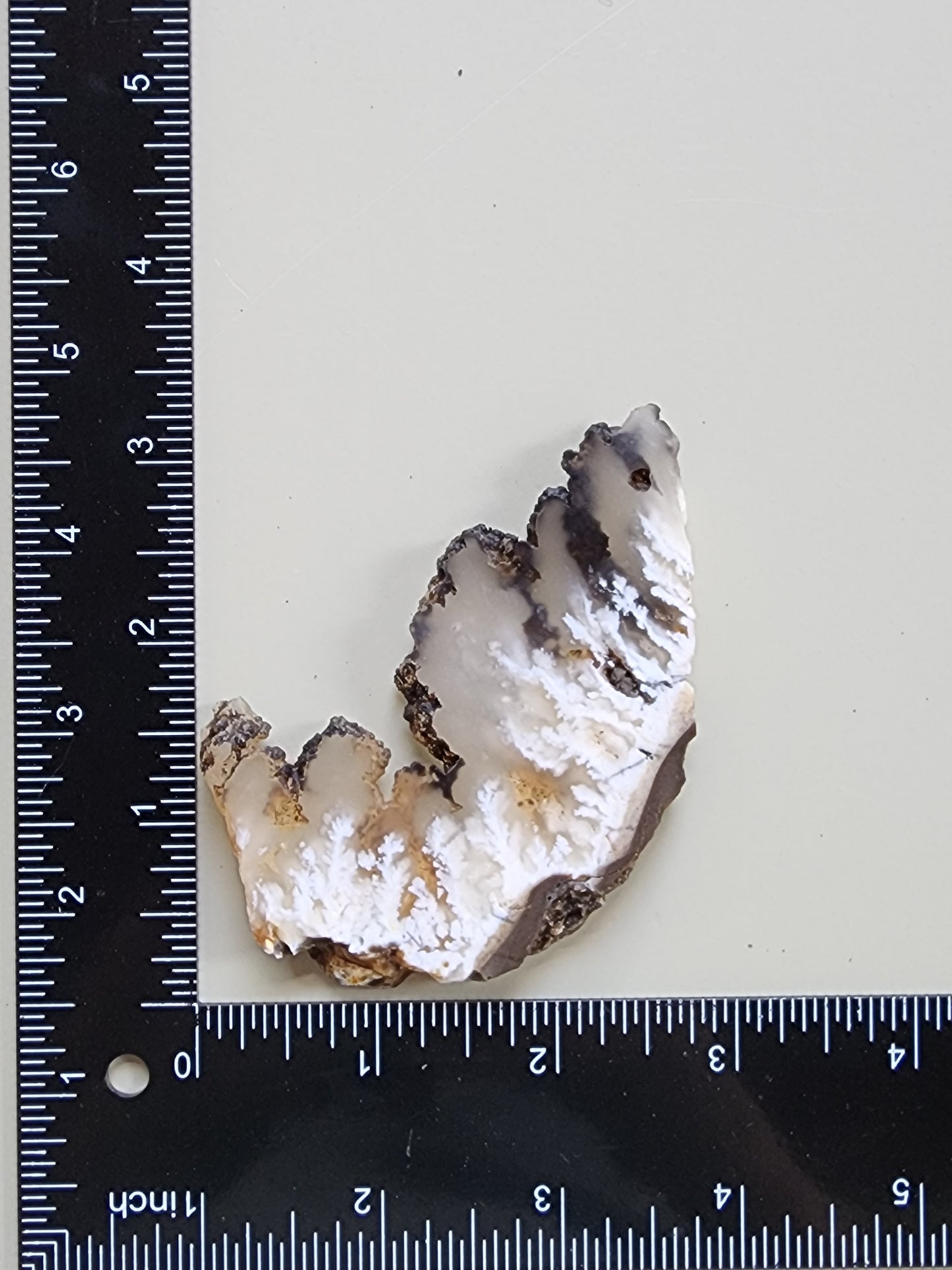 Stinking water plume agate slab