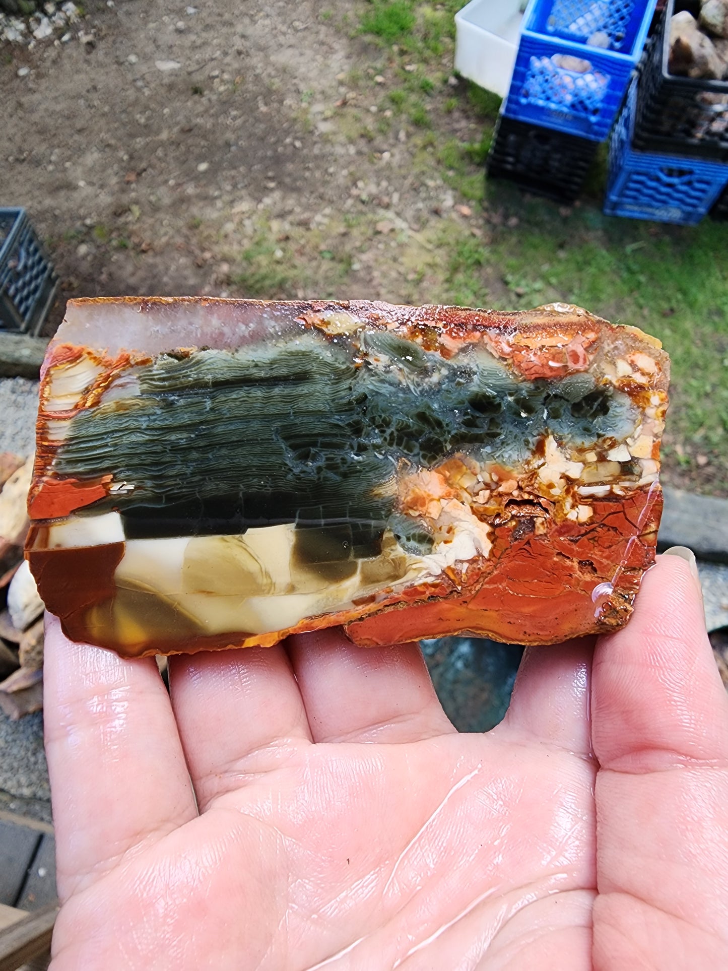 Brecciated Polychrome jasper slab