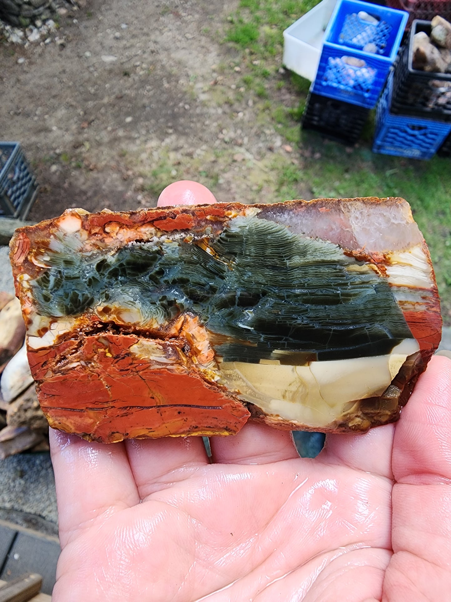 Brecciated Polychrome jasper slab