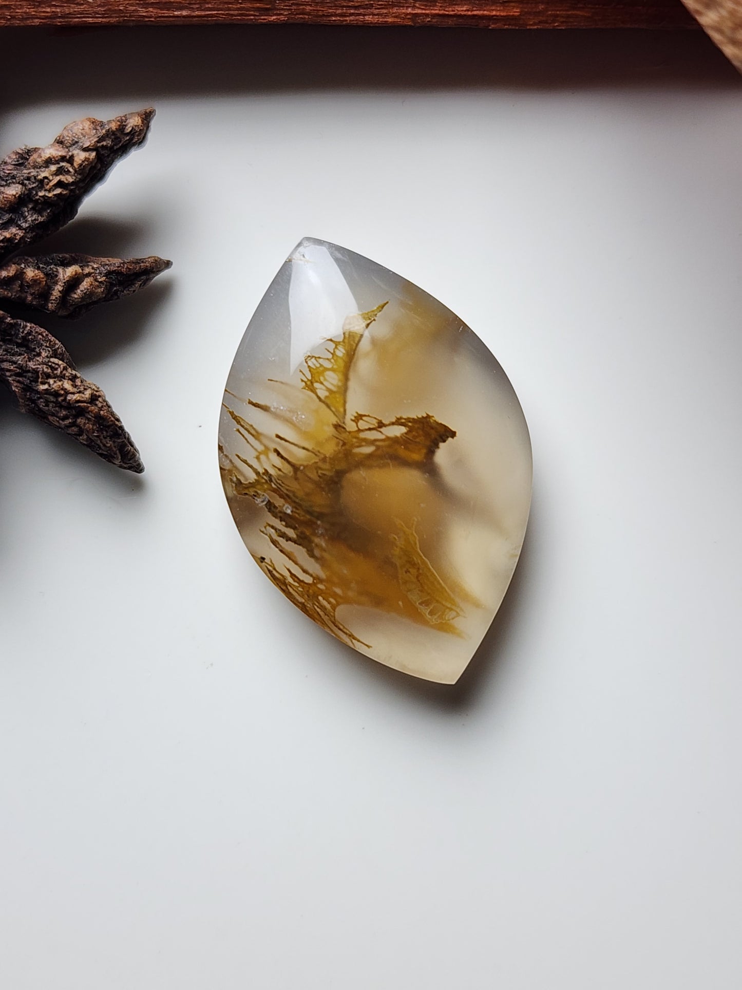 Priday Thunderegg moss agate