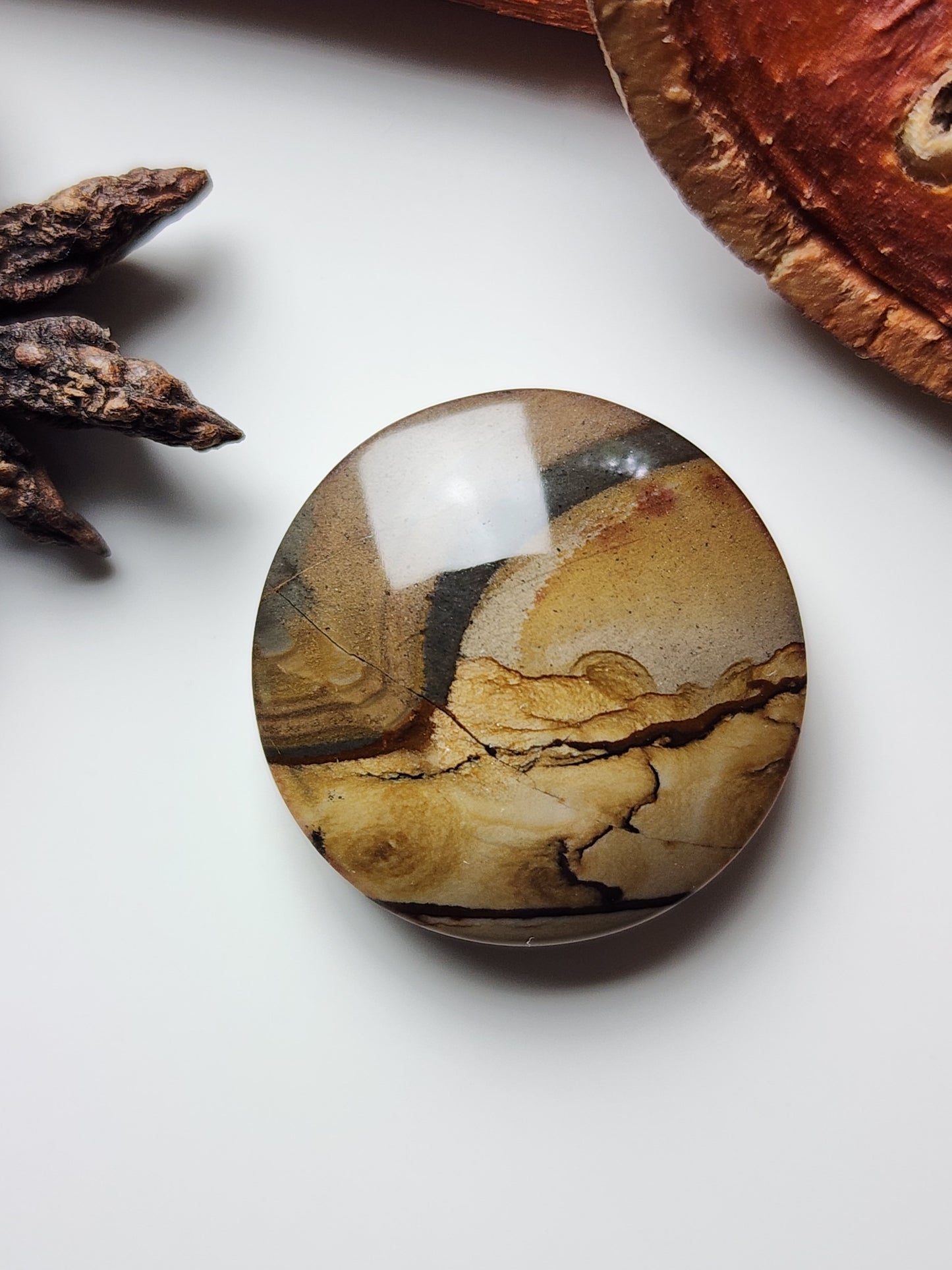 Biggs jasper
