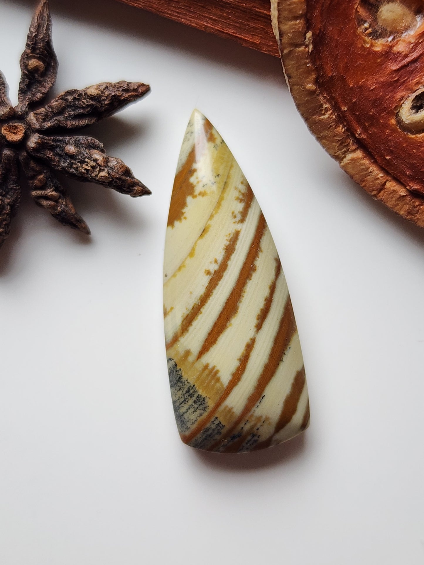 Owyhee jasper