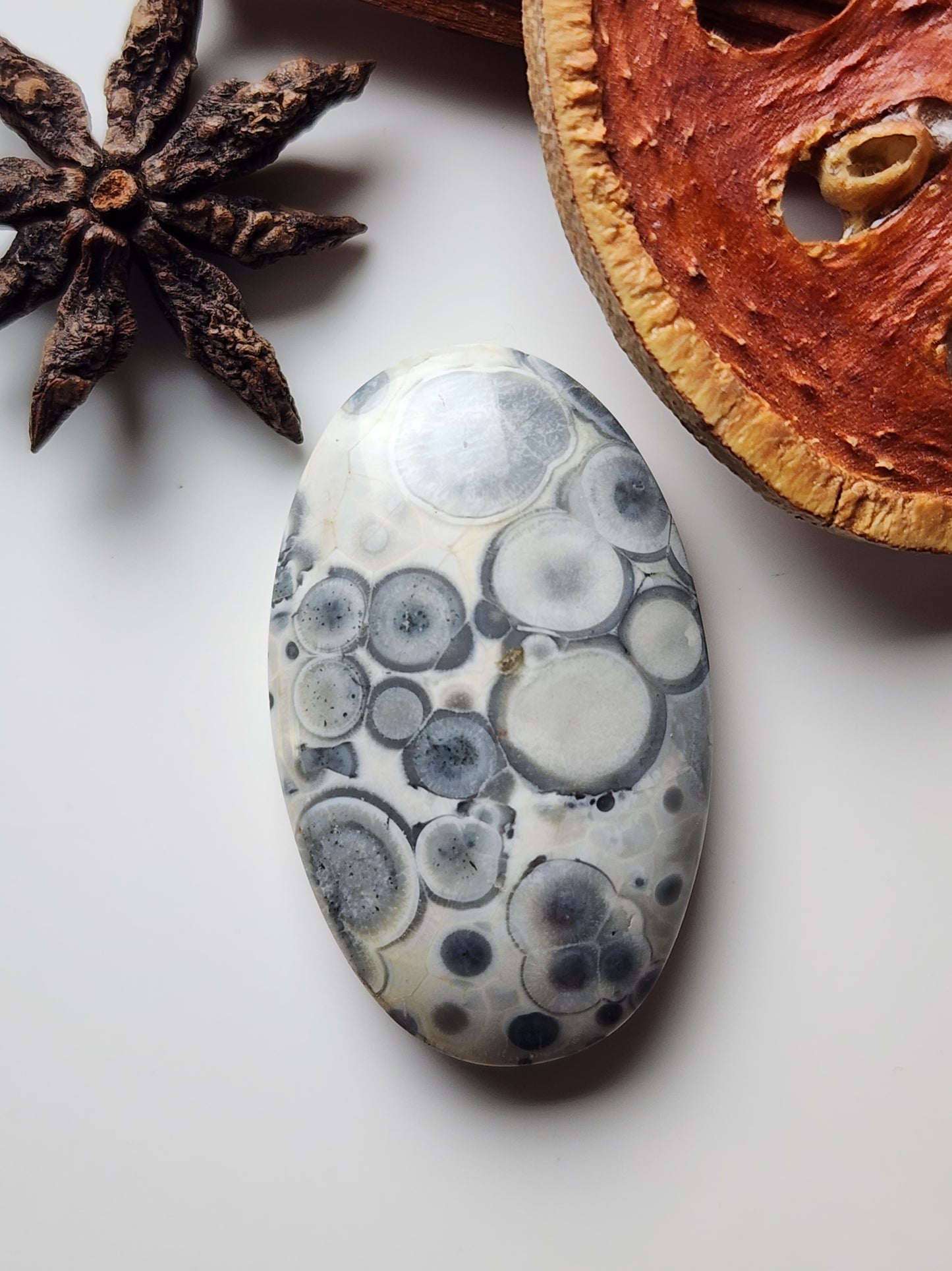 Galaxy Rhyolite