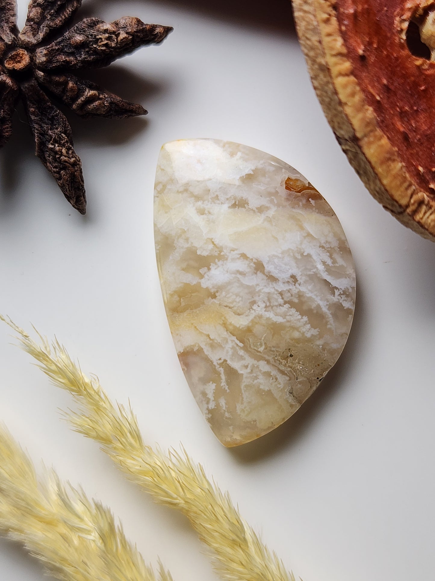 Bella Vista plume agate