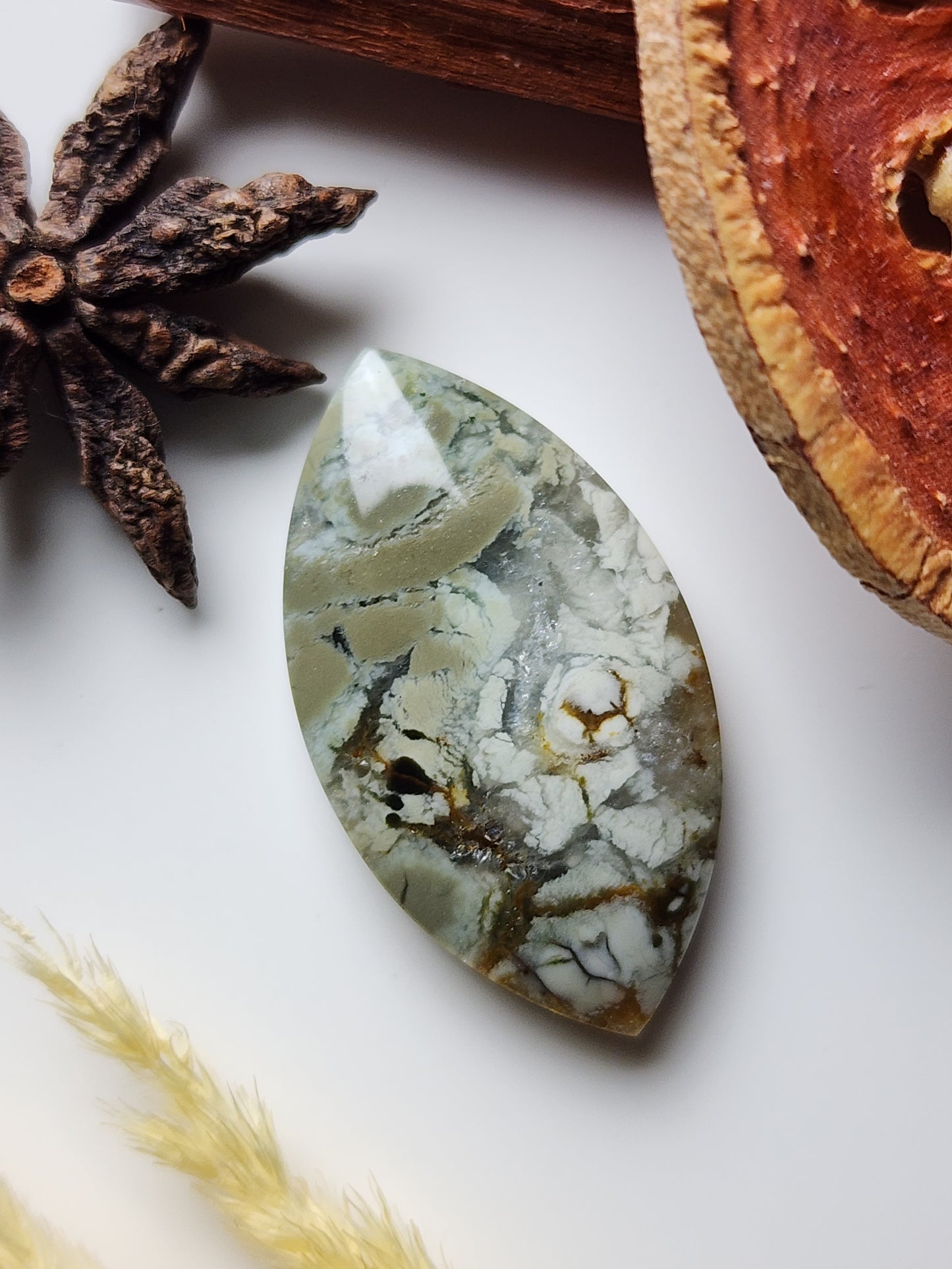 Brecciated Polychrome jasper
