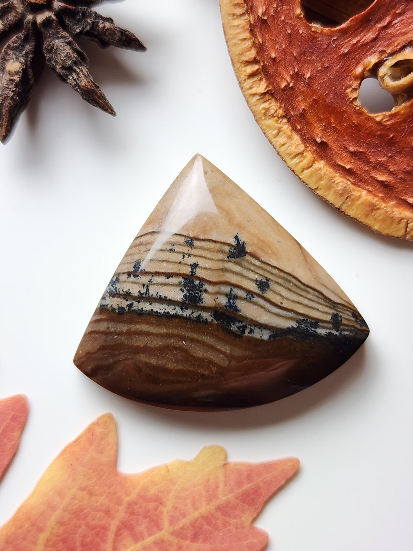 Biggs jasper