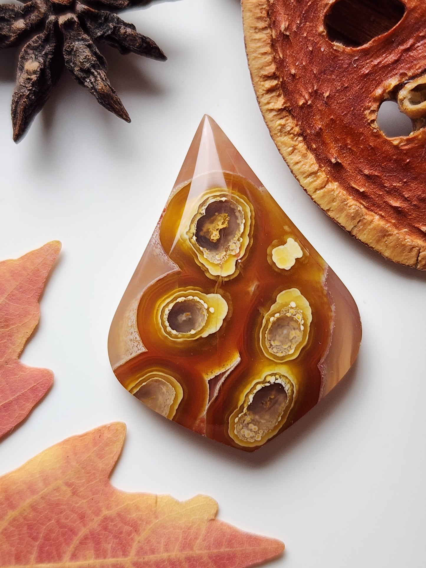 Agua Nueva agate