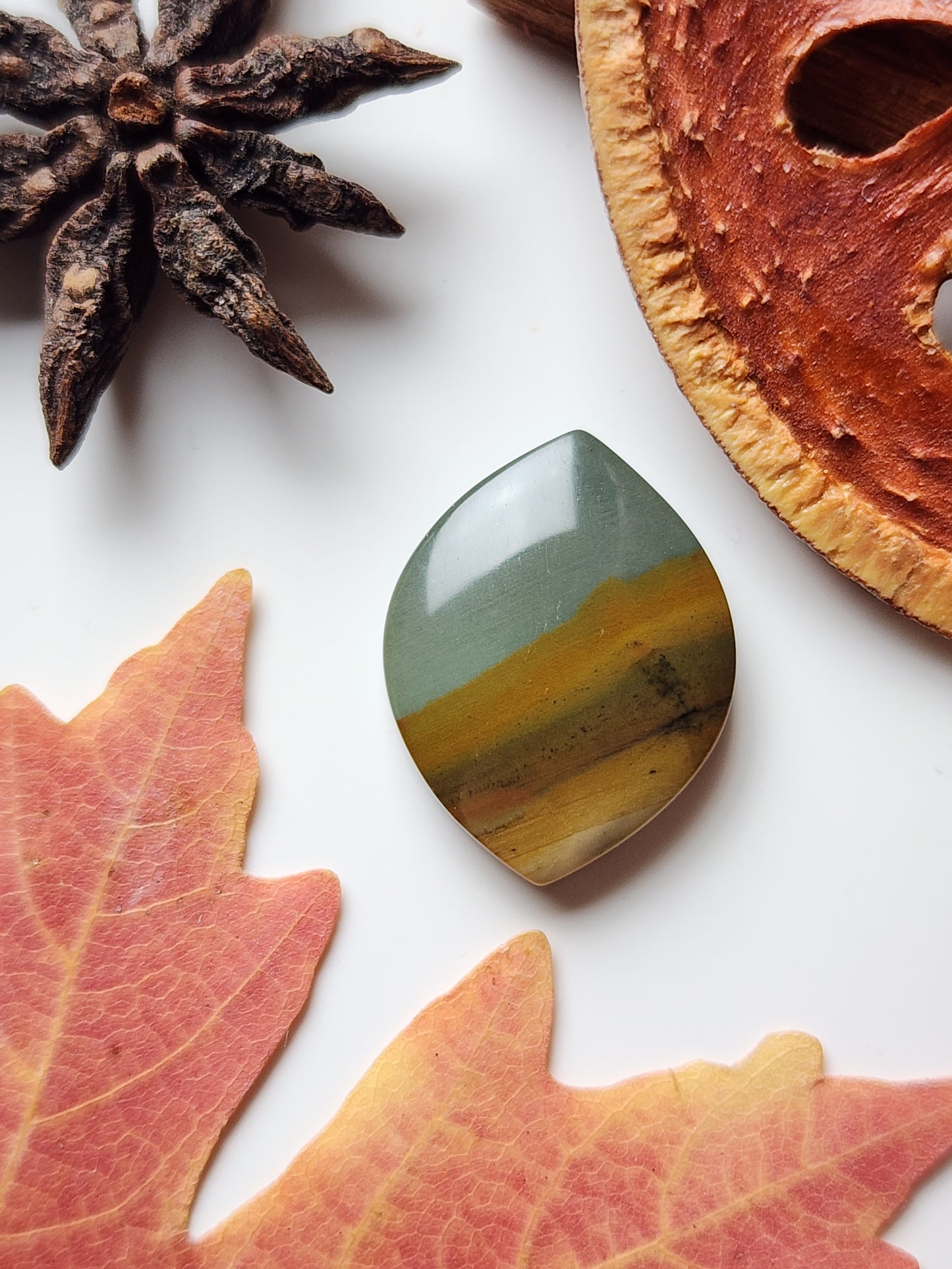 Owyhee picture jasper