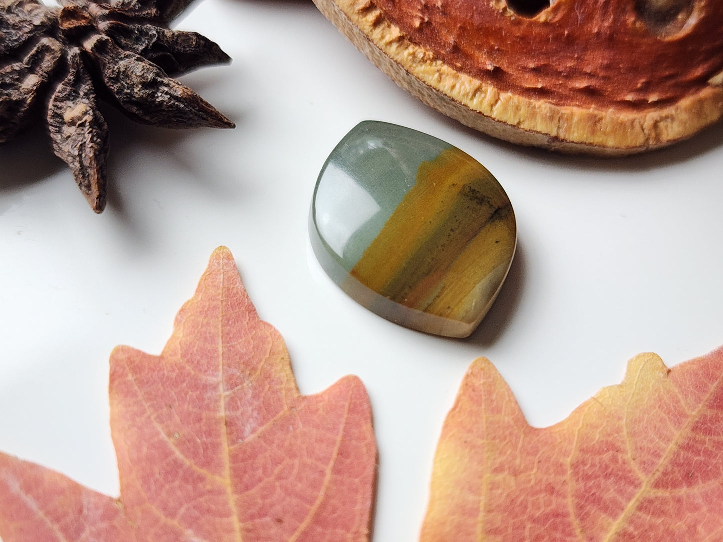 Owyhee picture jasper