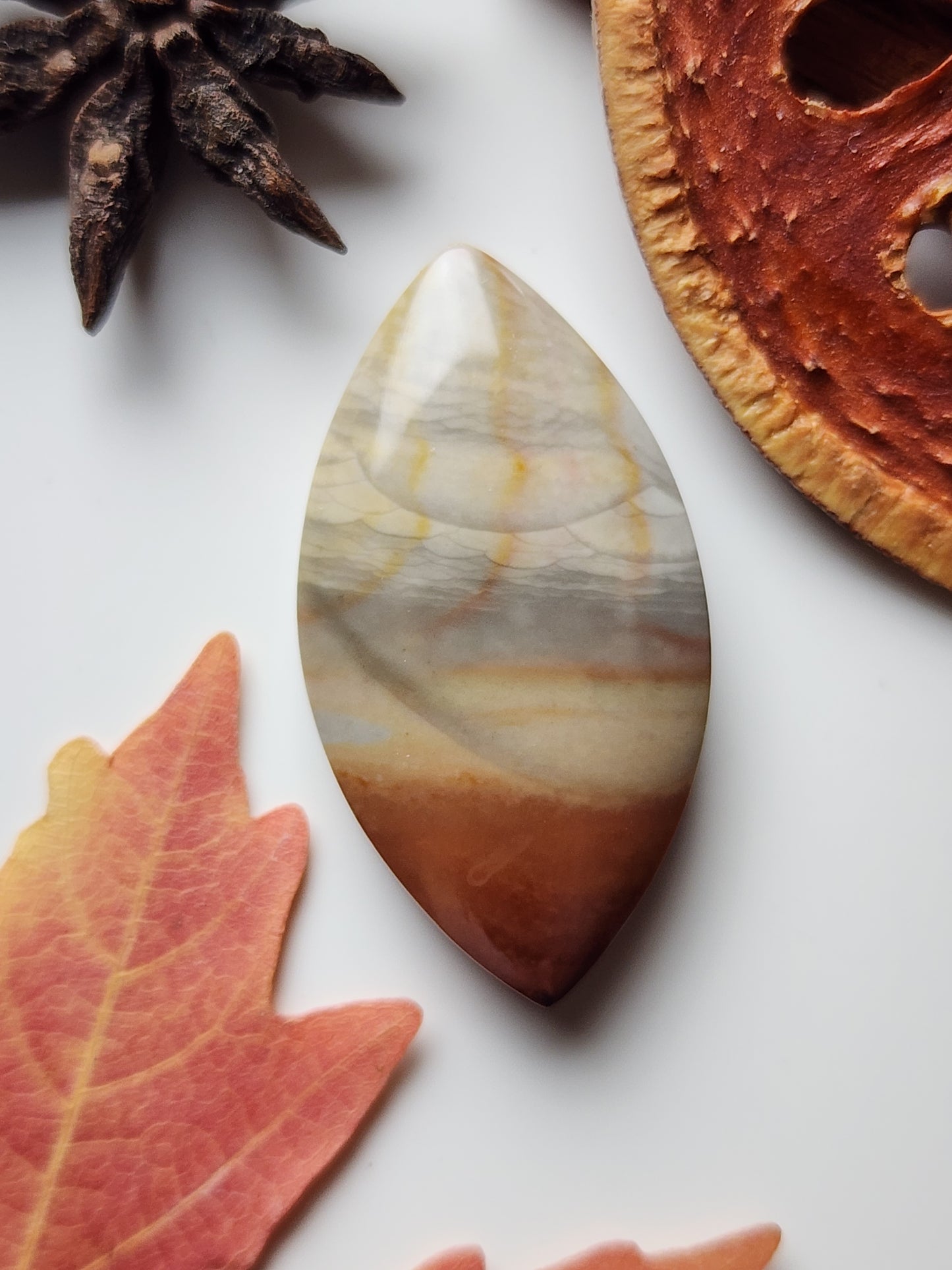 Polychrome jasper