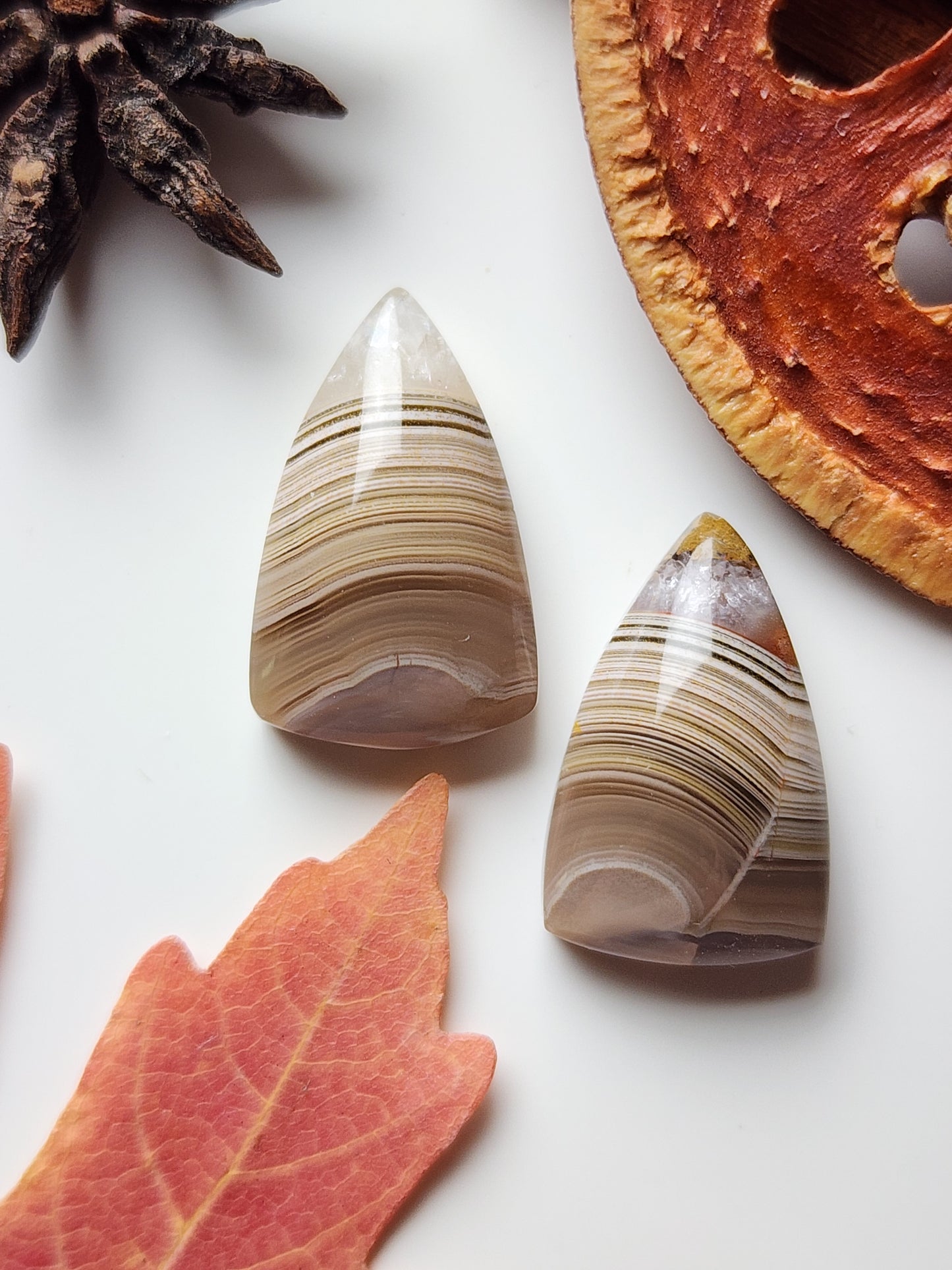 Agua Nueva agate pair