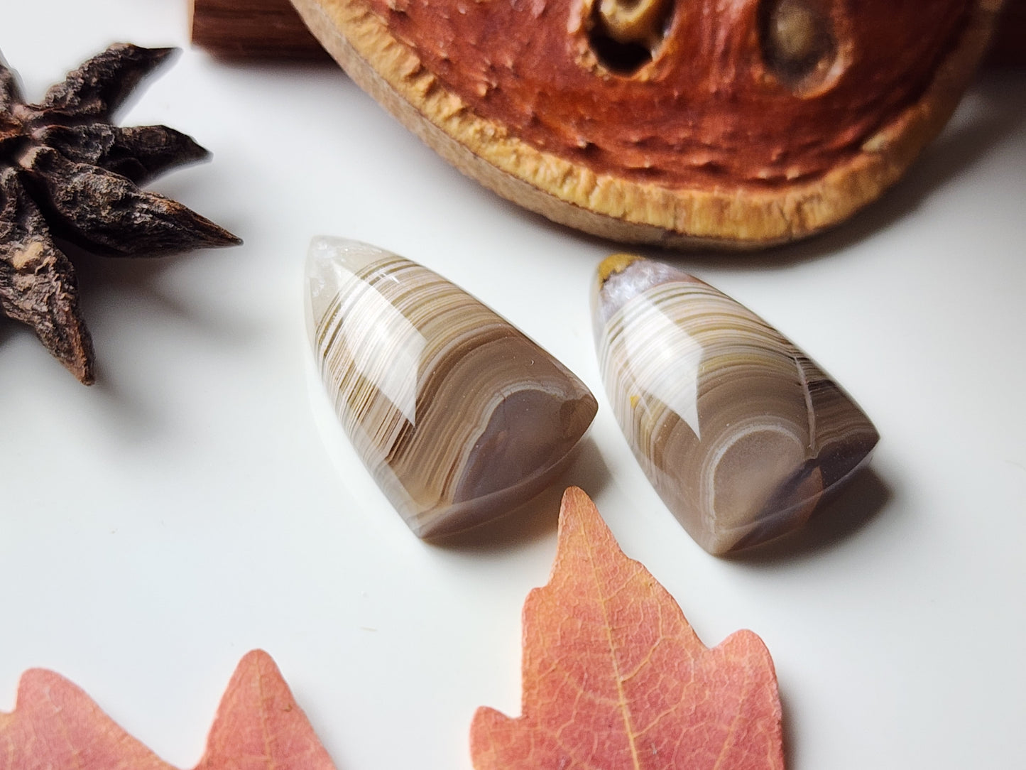Agua Nueva agate pair