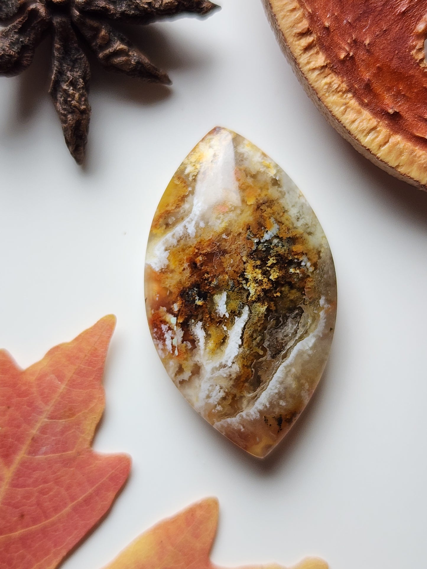 North Ridge plume agate