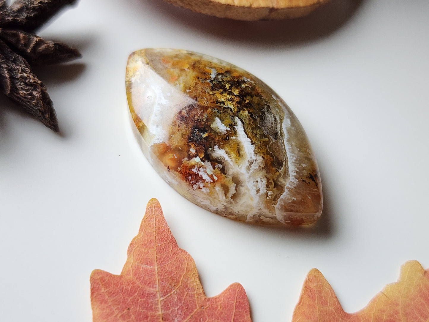North Ridge plume agate