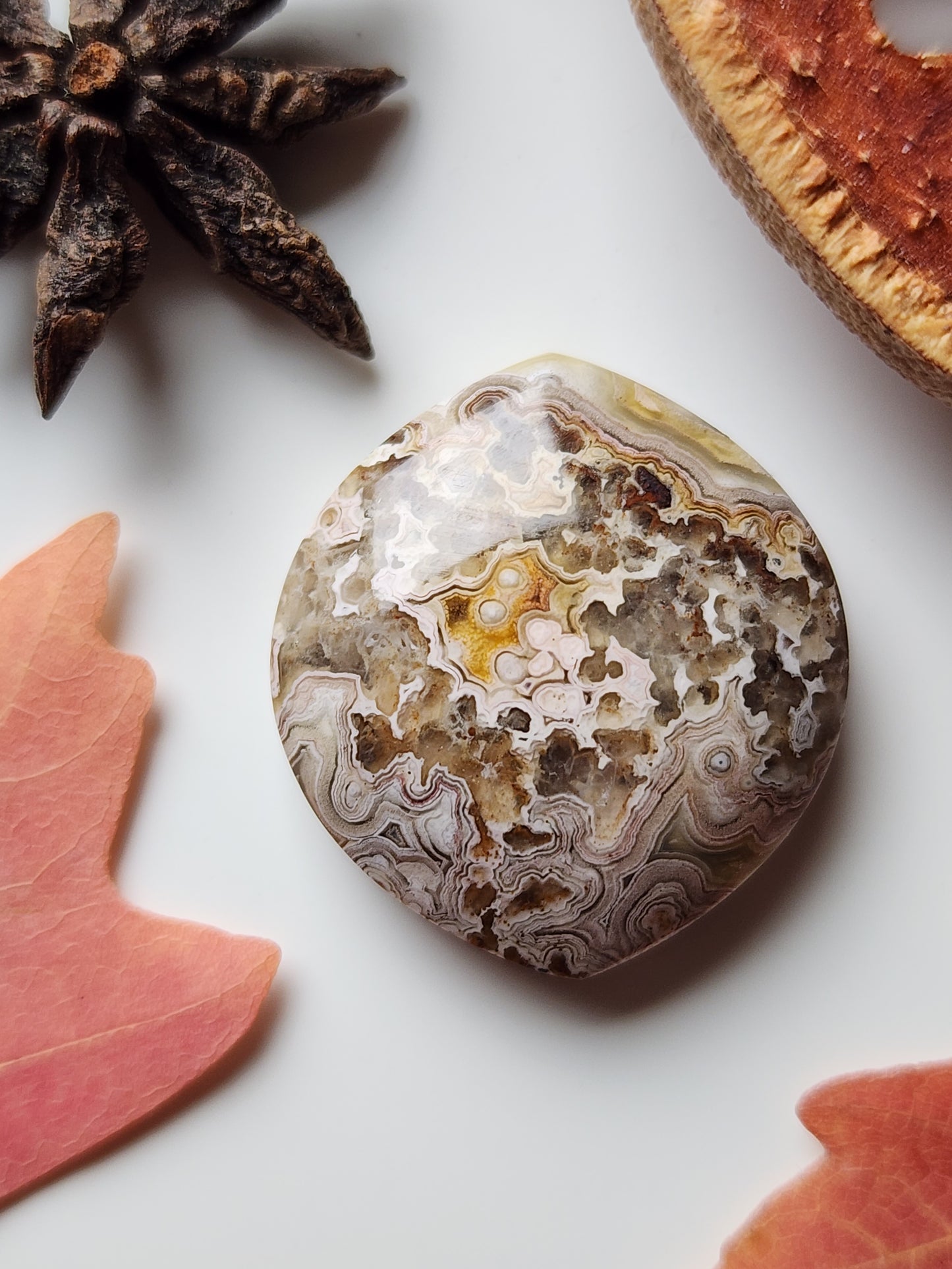 Crazy lace agate
