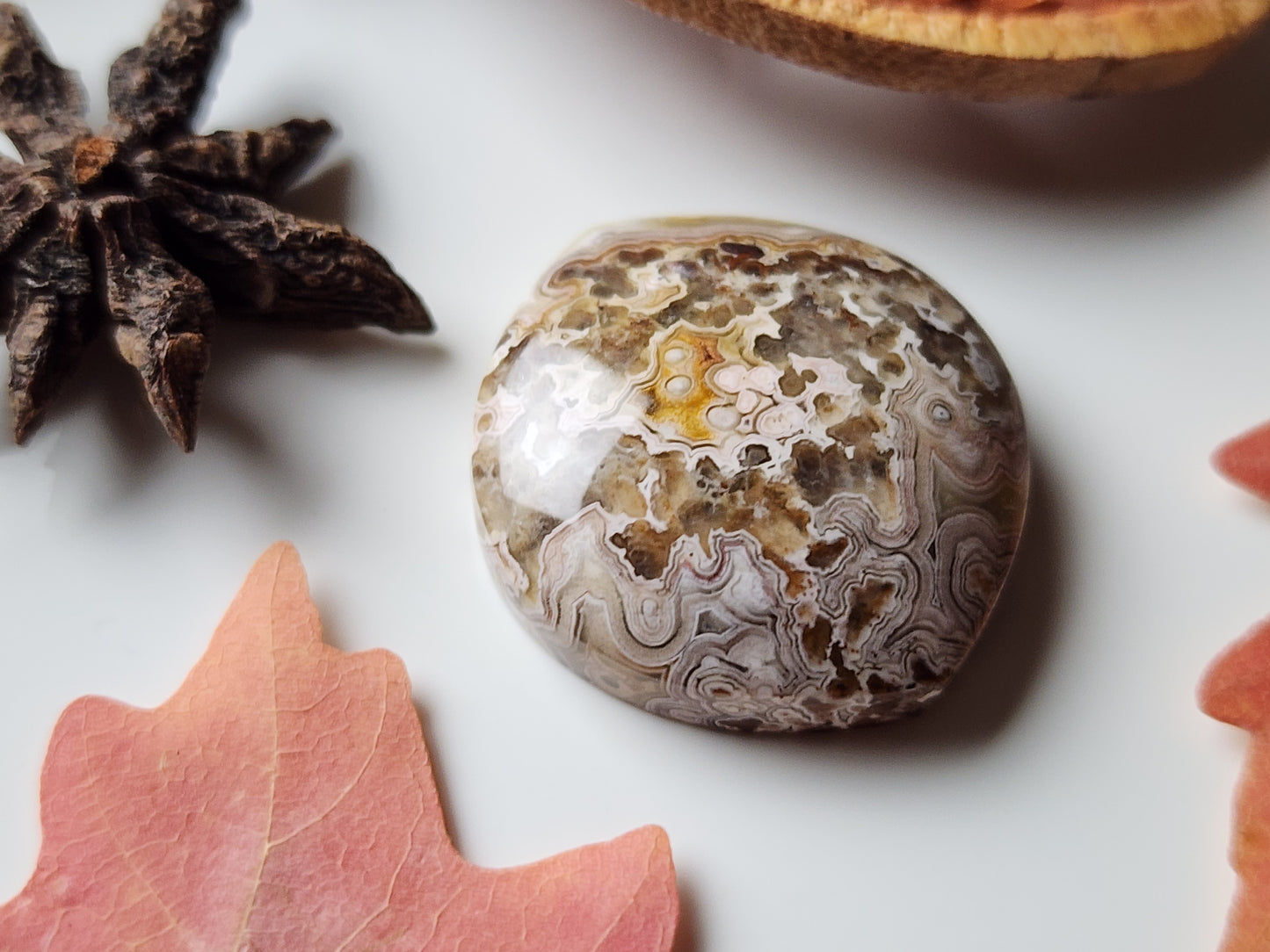 Crazy lace agate