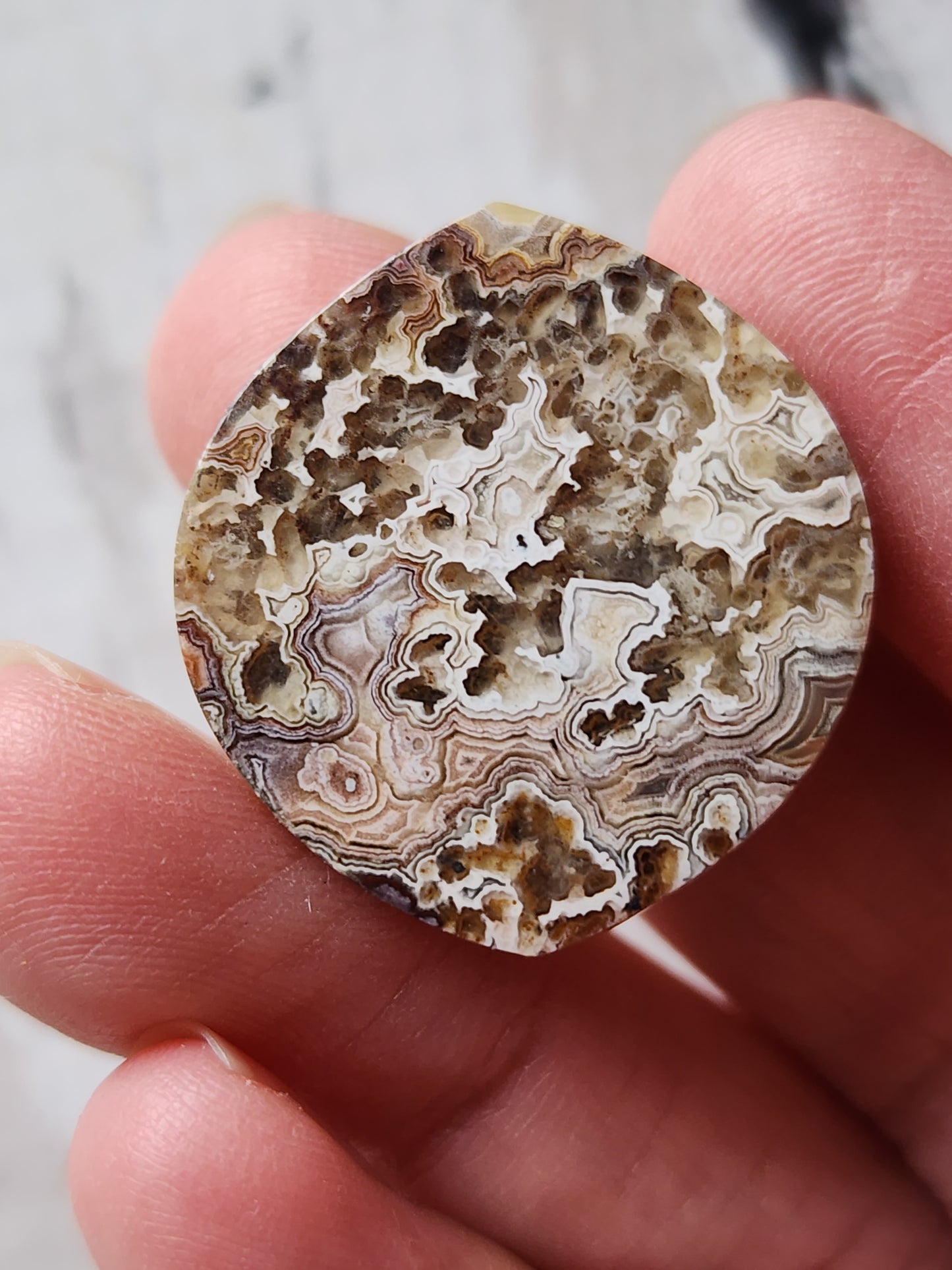 Crazy lace agate