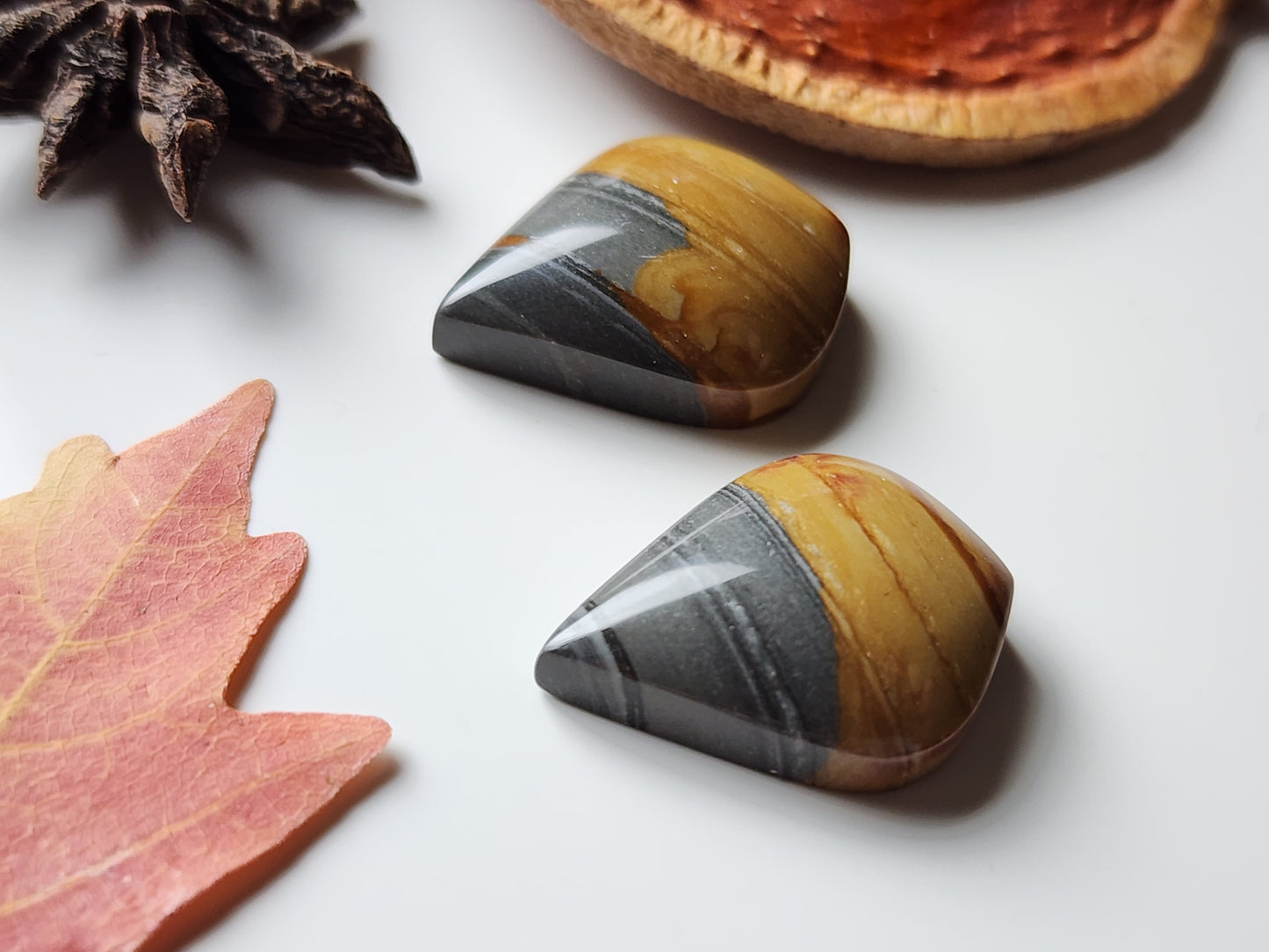 Red Desert picture jasper pair