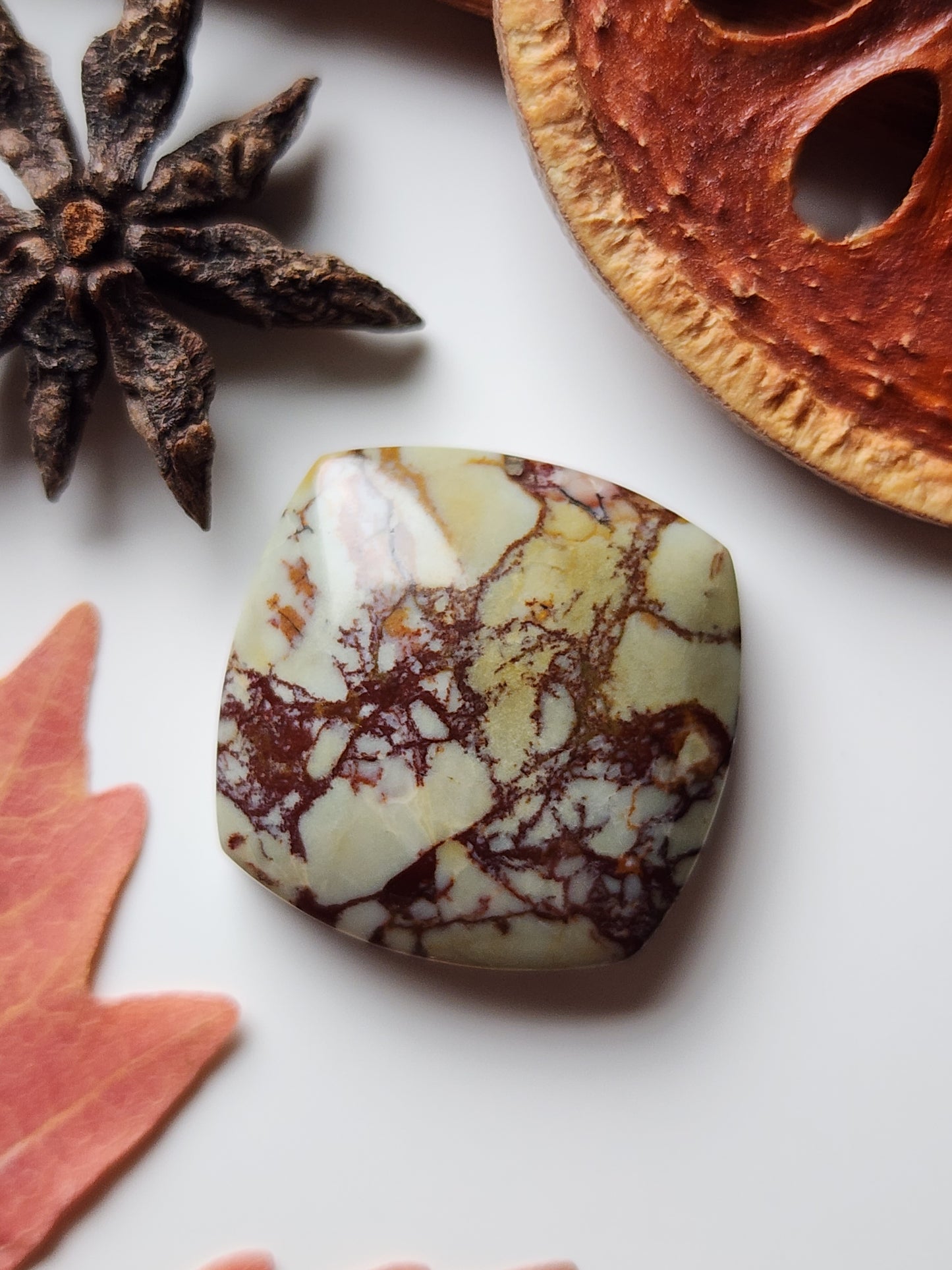 Dead camel jasper