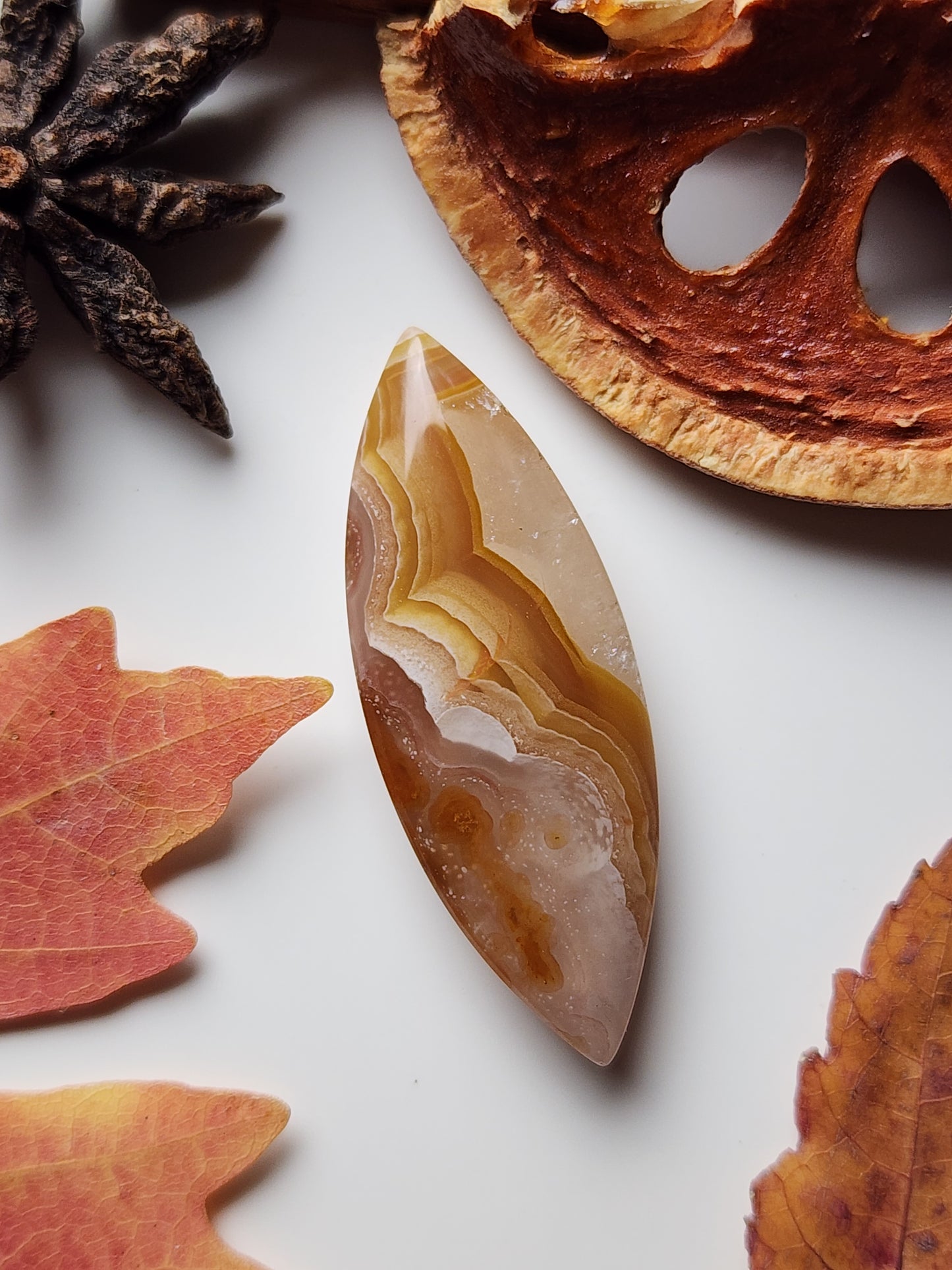 Agua Nueva agate