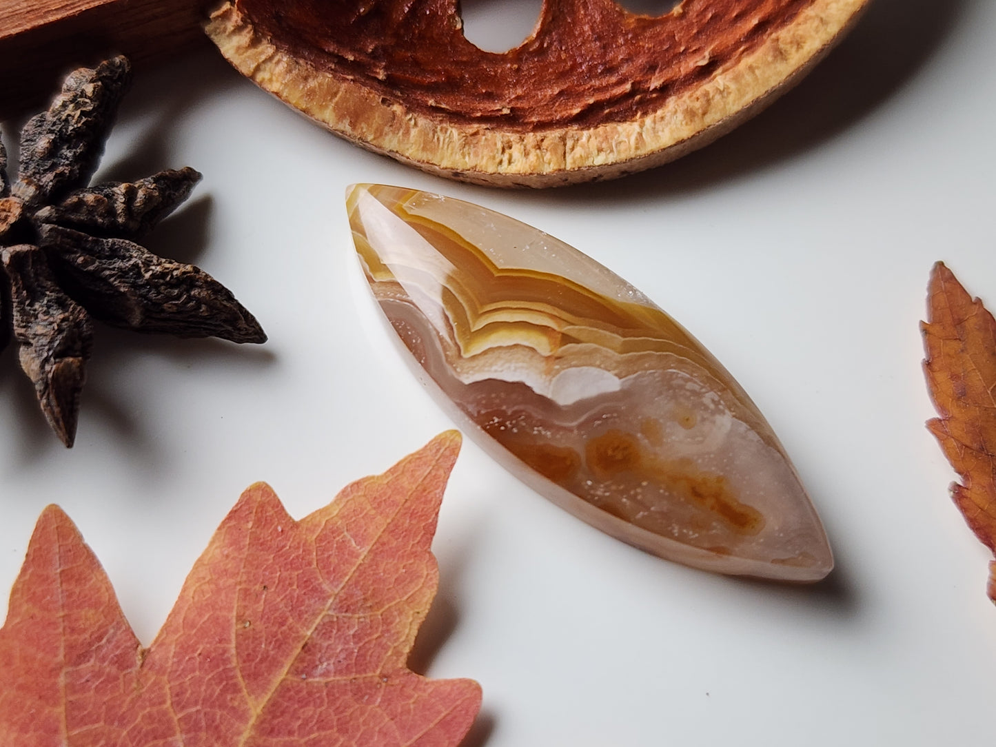 Agua Nueva agate