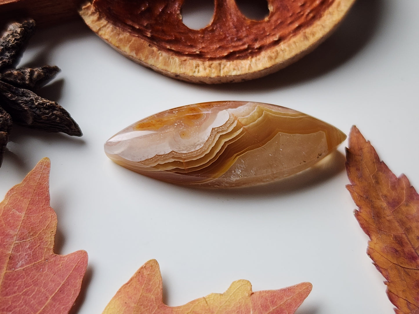 Agua Nueva agate