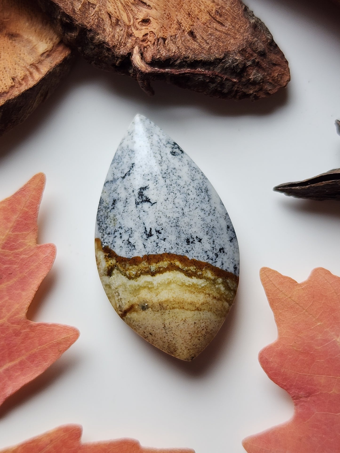 McDermitt picture jasper