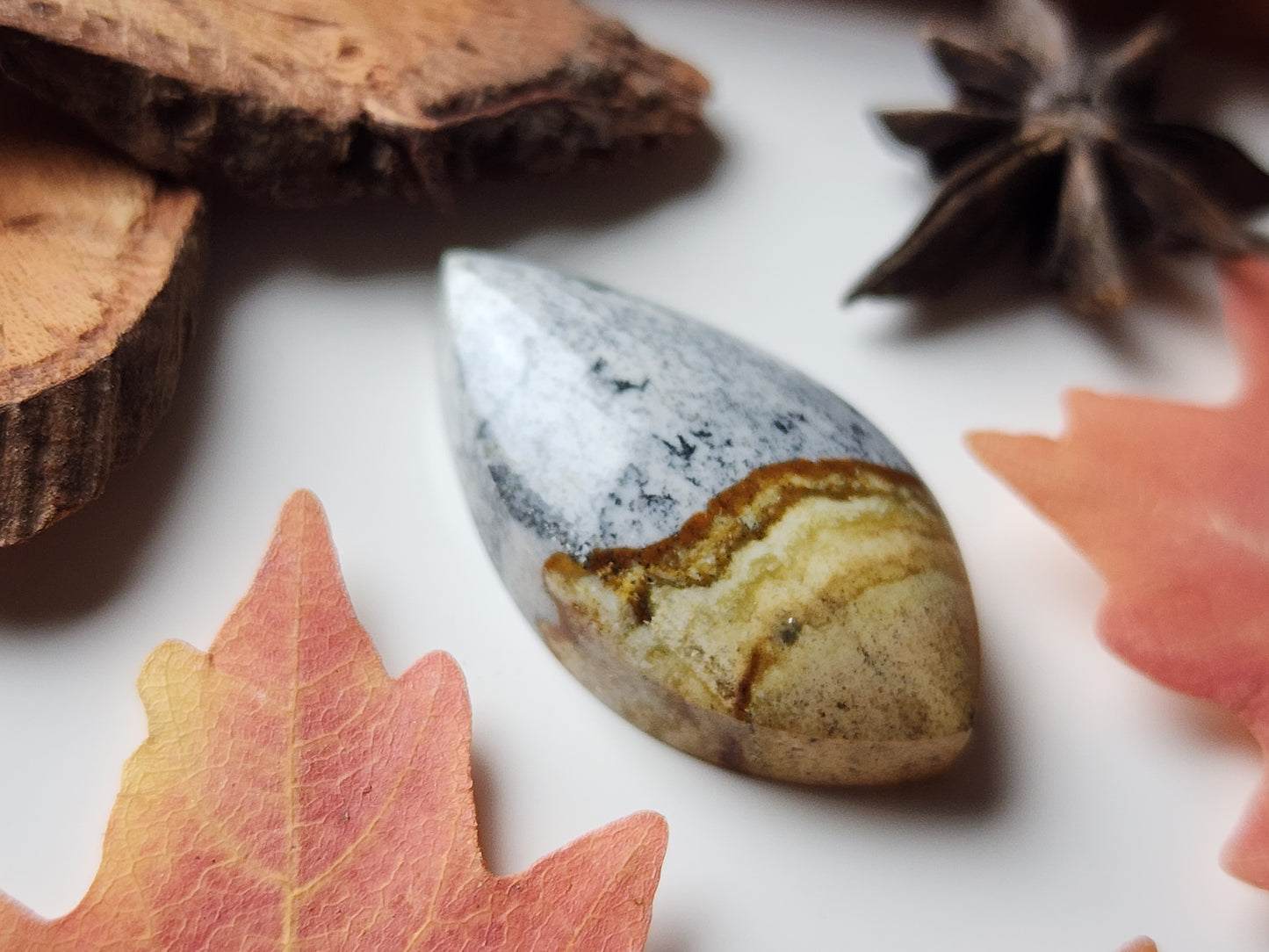 McDermitt picture jasper