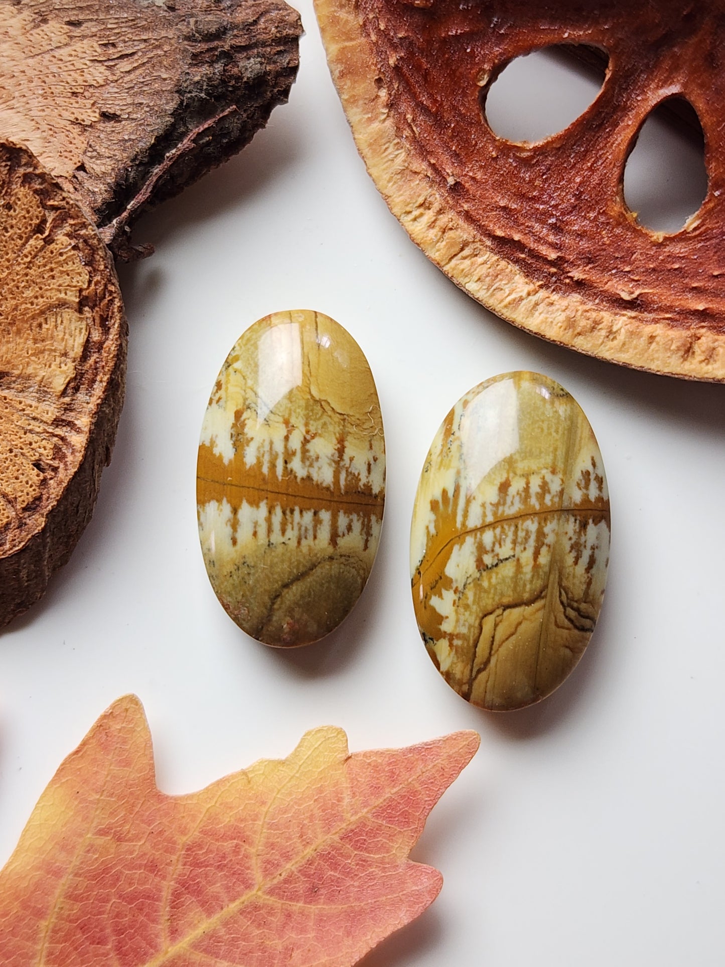 Owyhee jasper pair