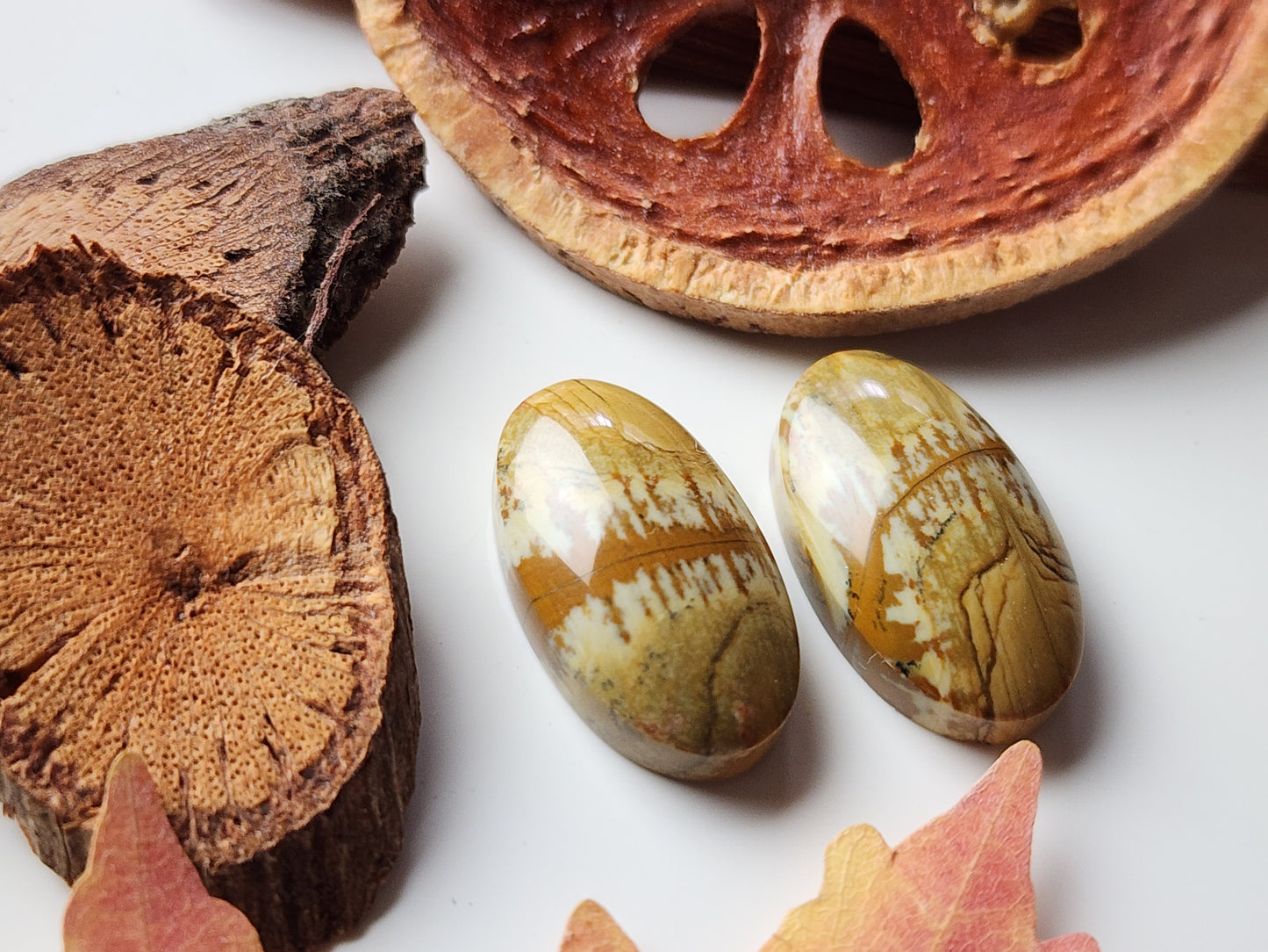 Owyhee jasper pair