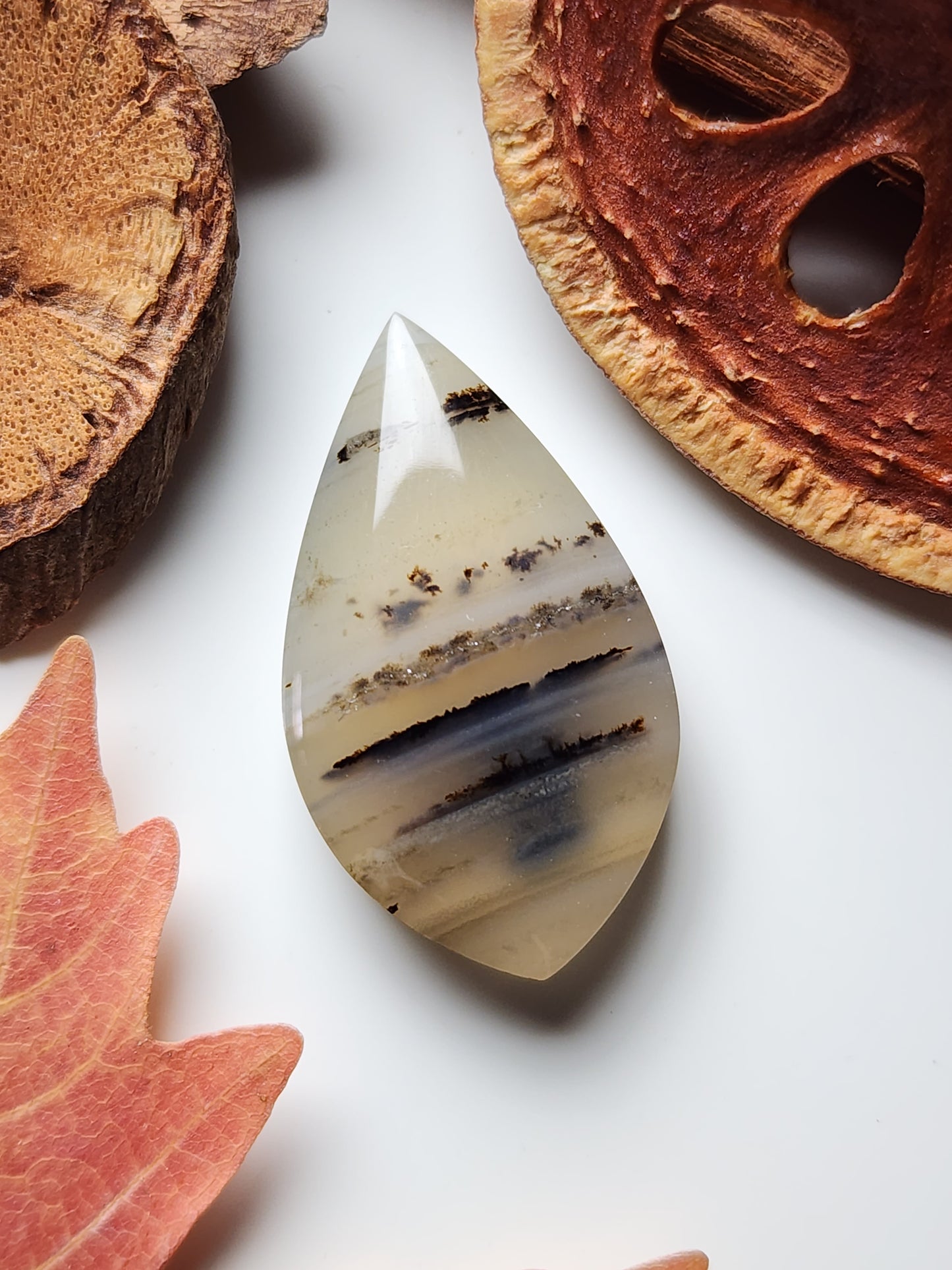 Montana agate