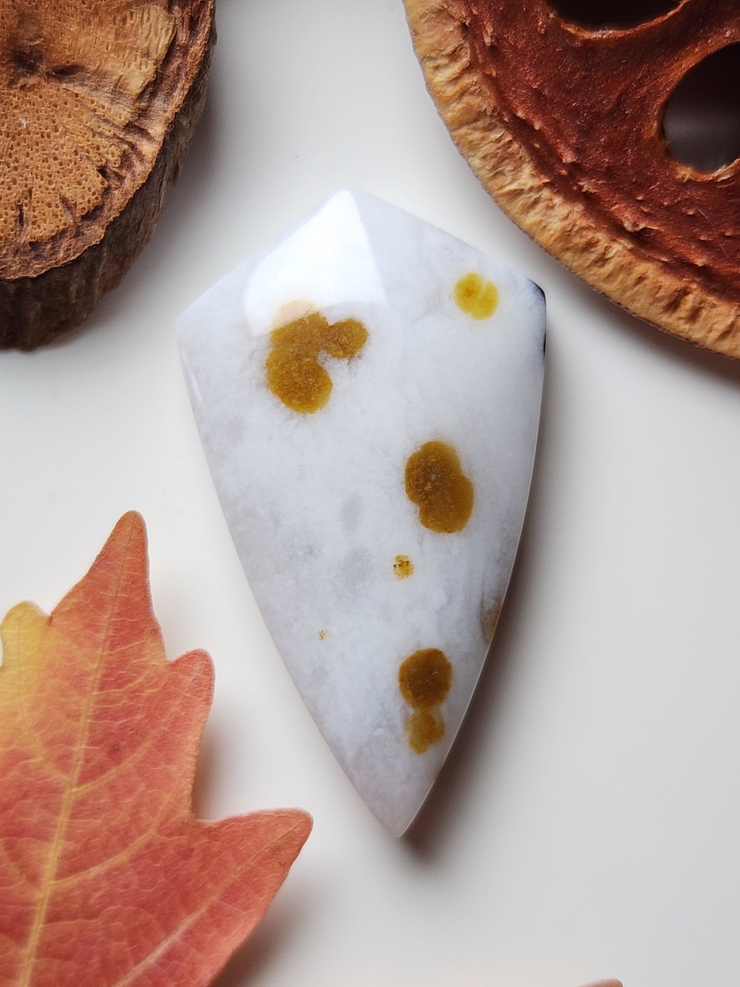 Polka dot agate