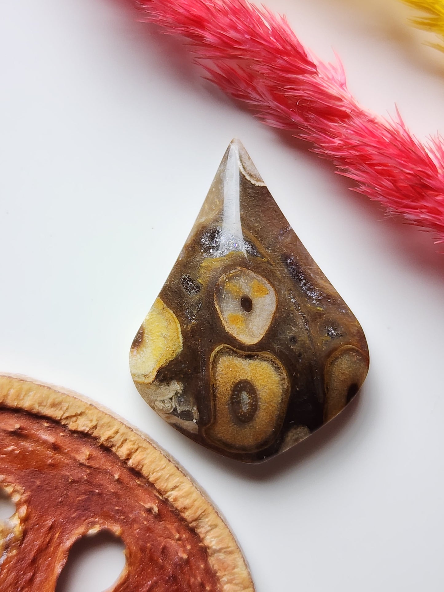 Petrified palm wood
